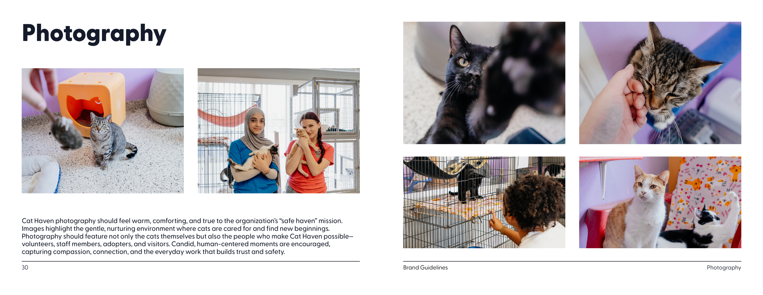 Cat Haven Brand Guidelines16.png