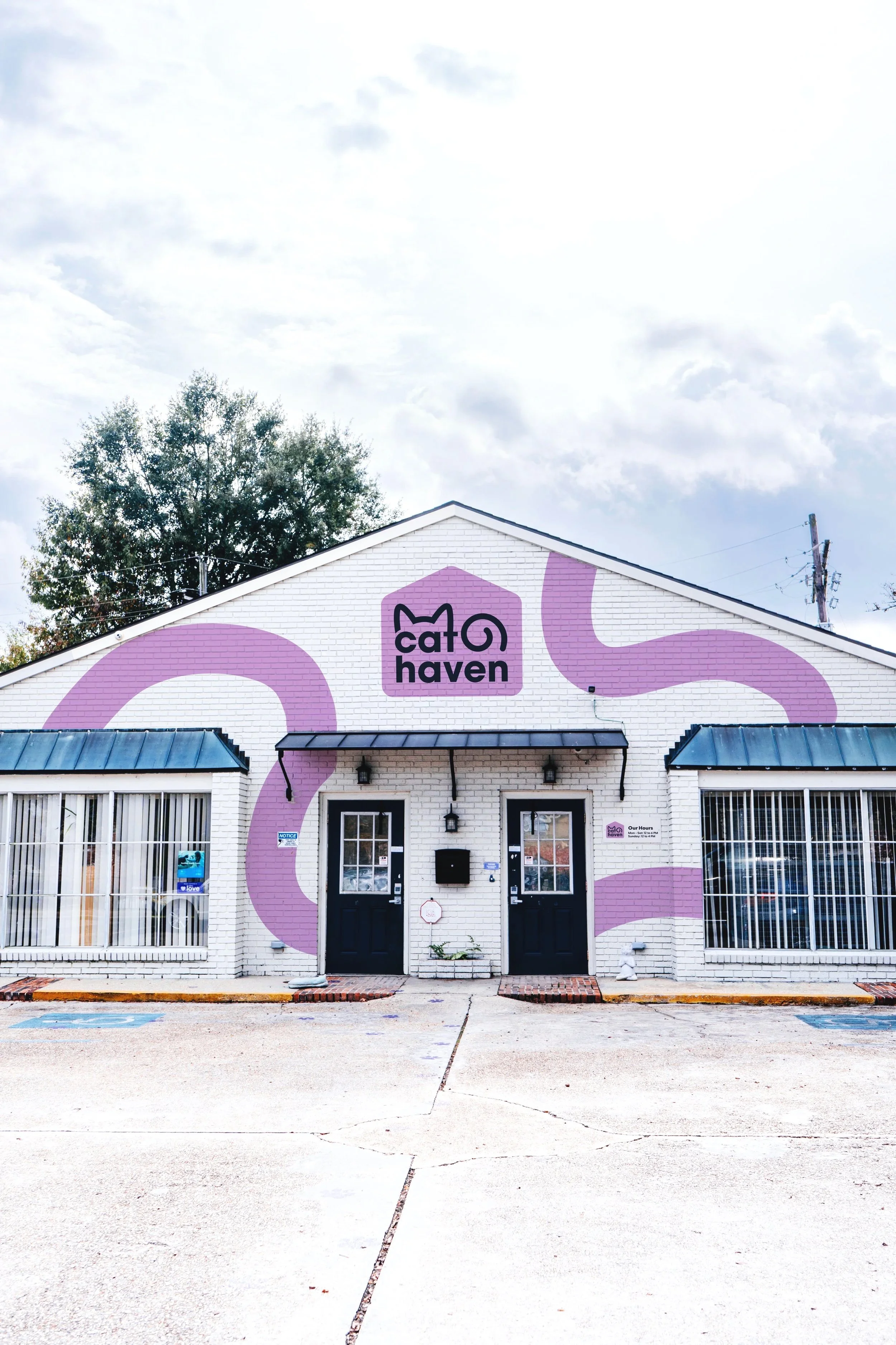 Cat Haven