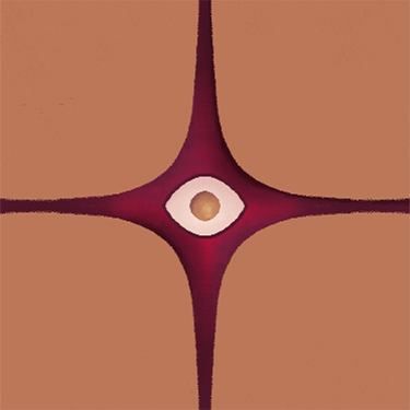 token1 copy.png