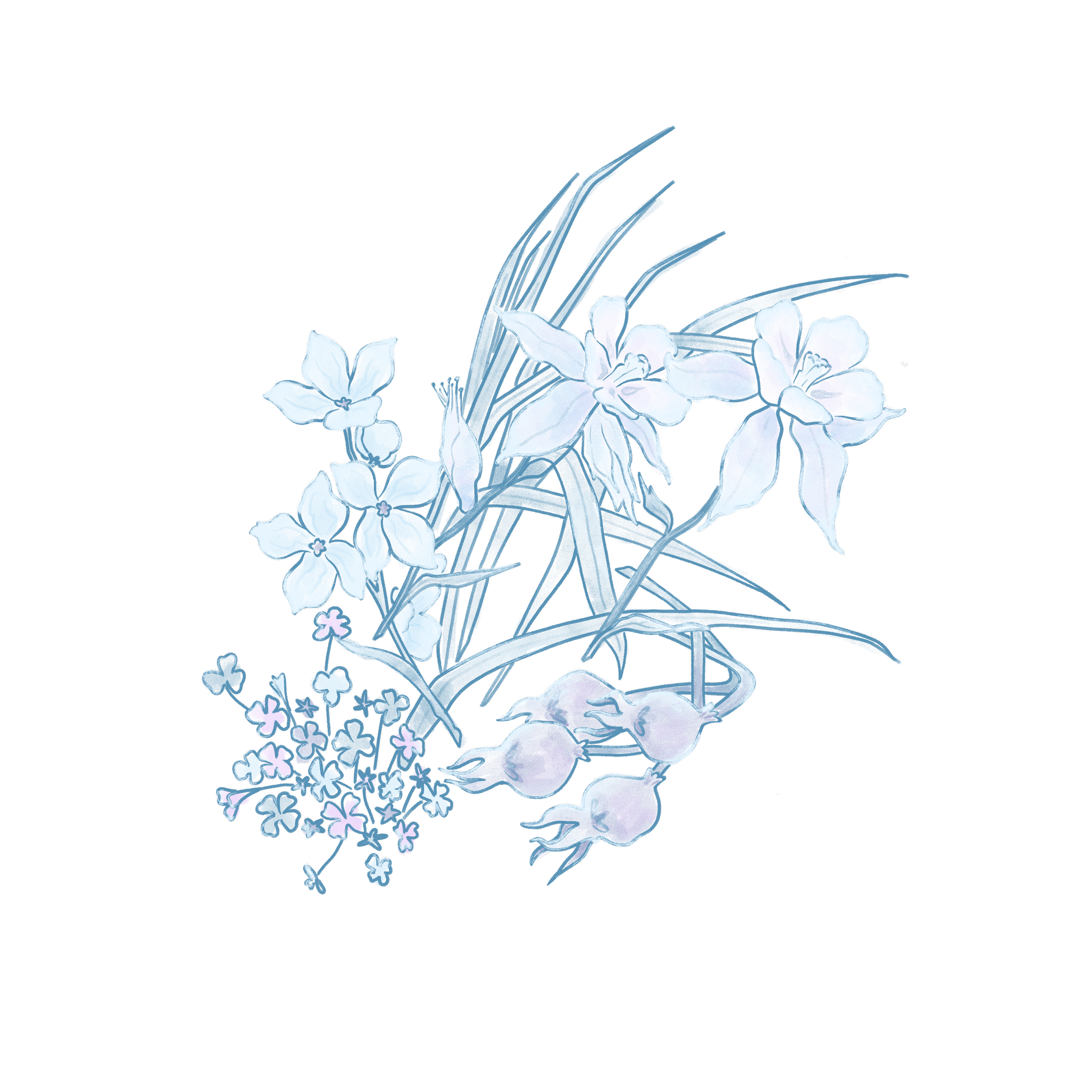 Flower_Main copy.png