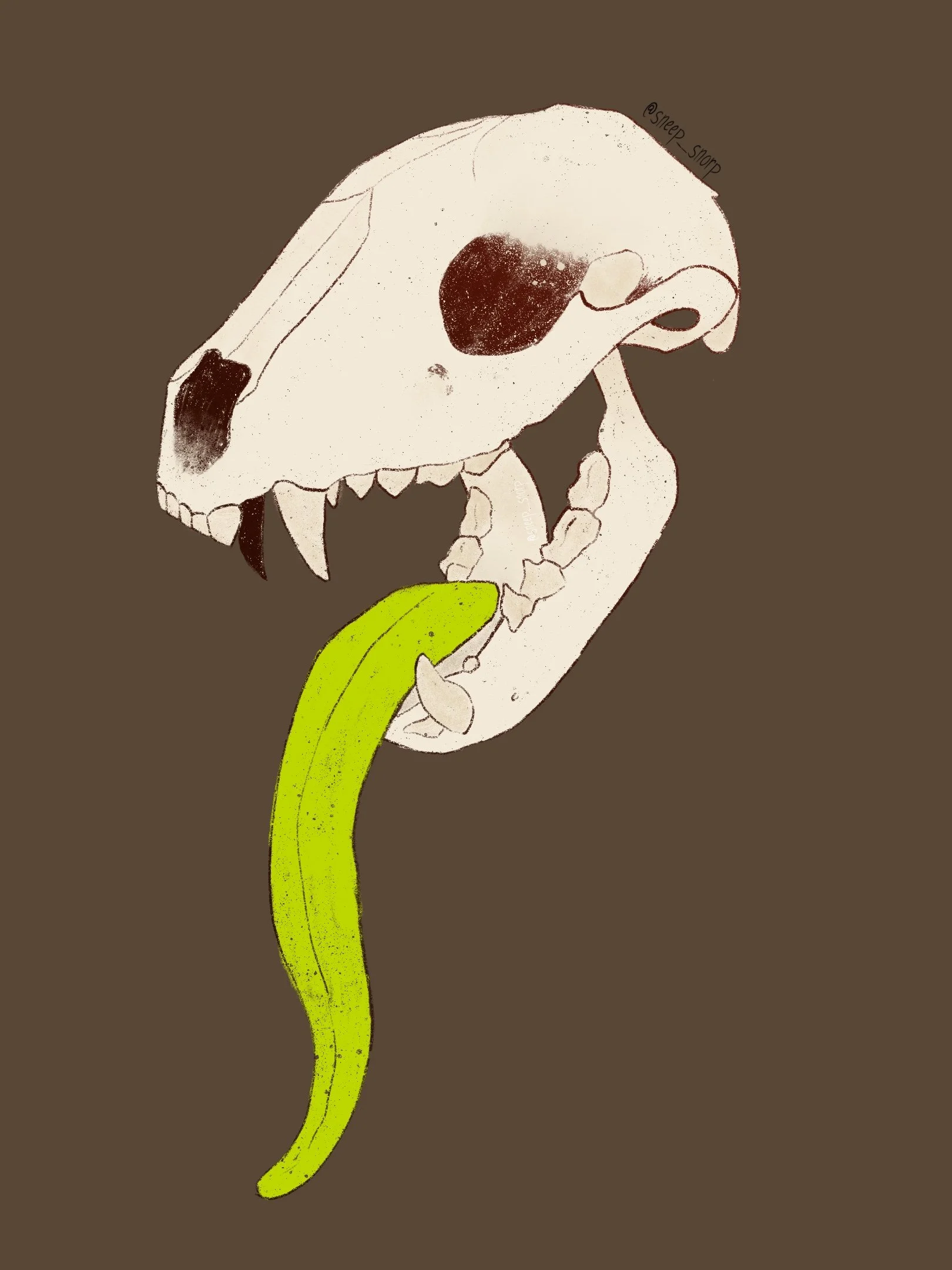 Helland_vl_skull_print 2 copy.jpg
