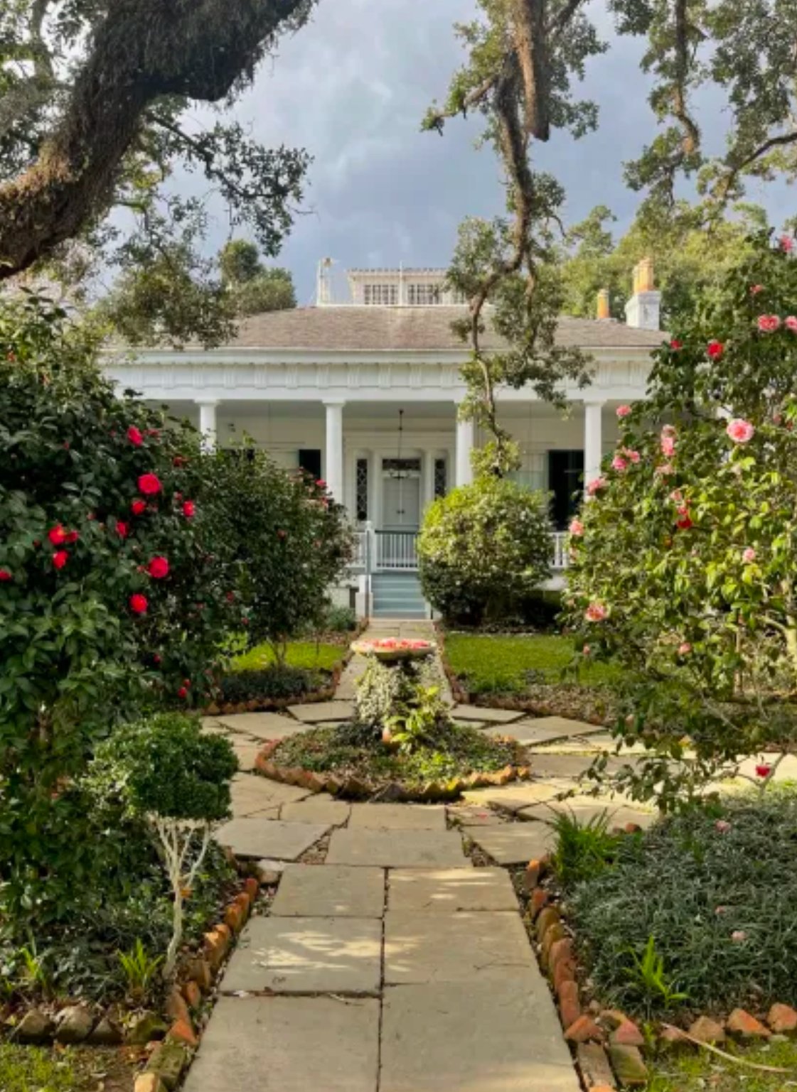 A Natchez Camellia Legacy
