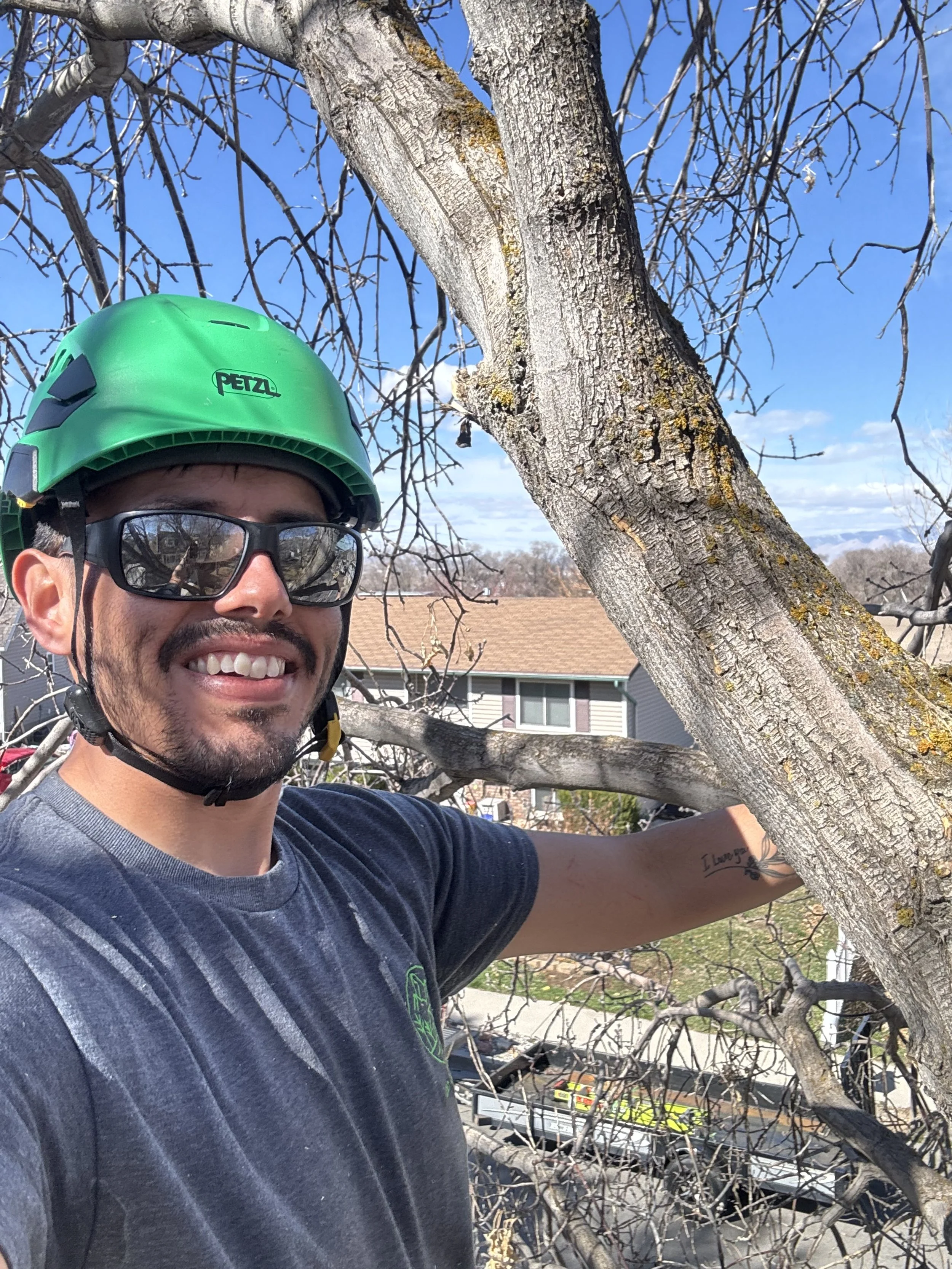 arborist in springville utah