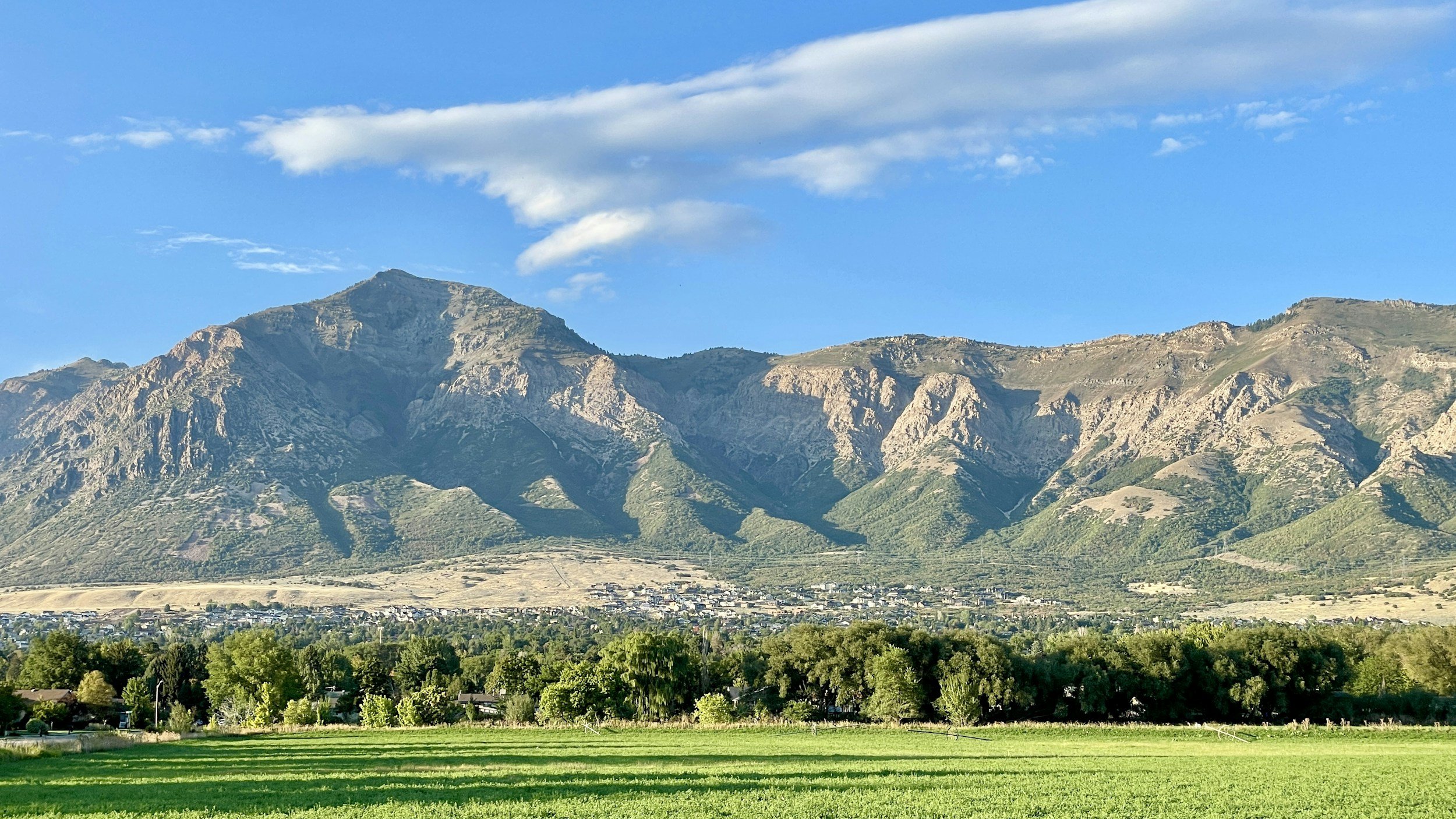 Tree Cutting in Payson, Utah: Everything You Need to Know