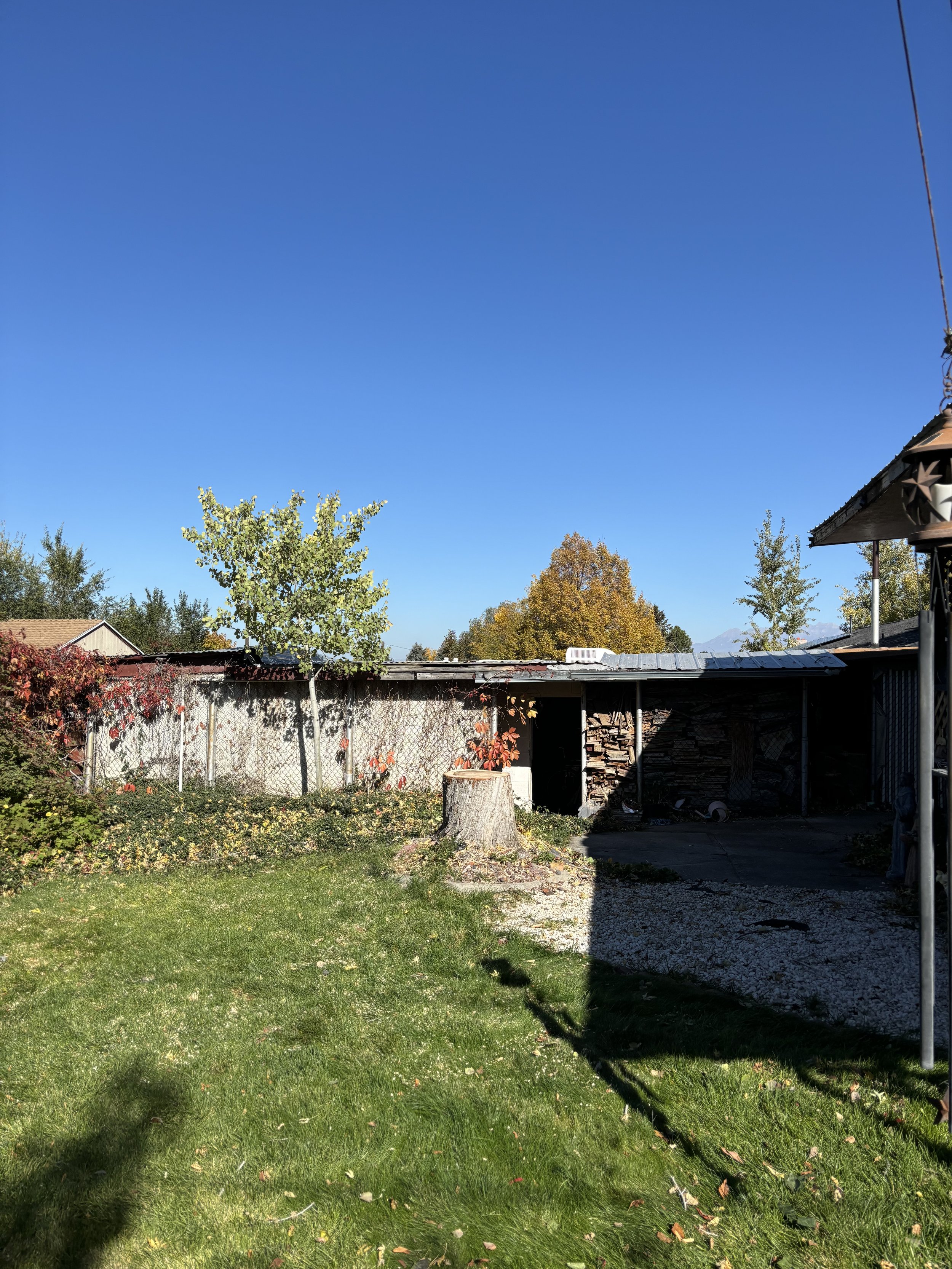 tree removal payson ut