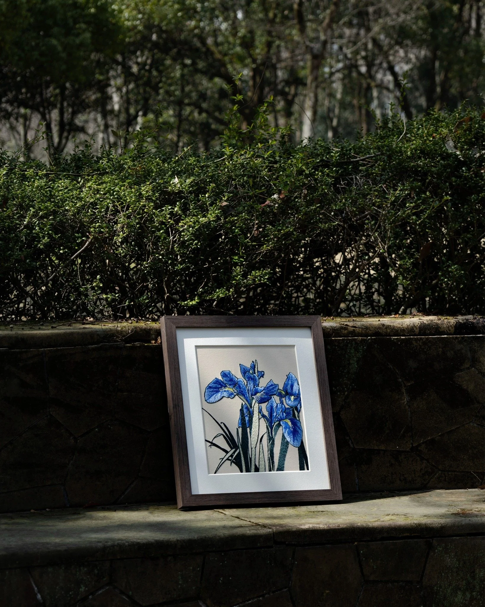 Left in the light, just as it is.

The iris holds its color quietly, the embroidery catching a soft sheen as the light moves across it.

At times brighter, at times subdued.

#decorativeart #embroideryart #framedwallart #modernhomedecor #smallwallart