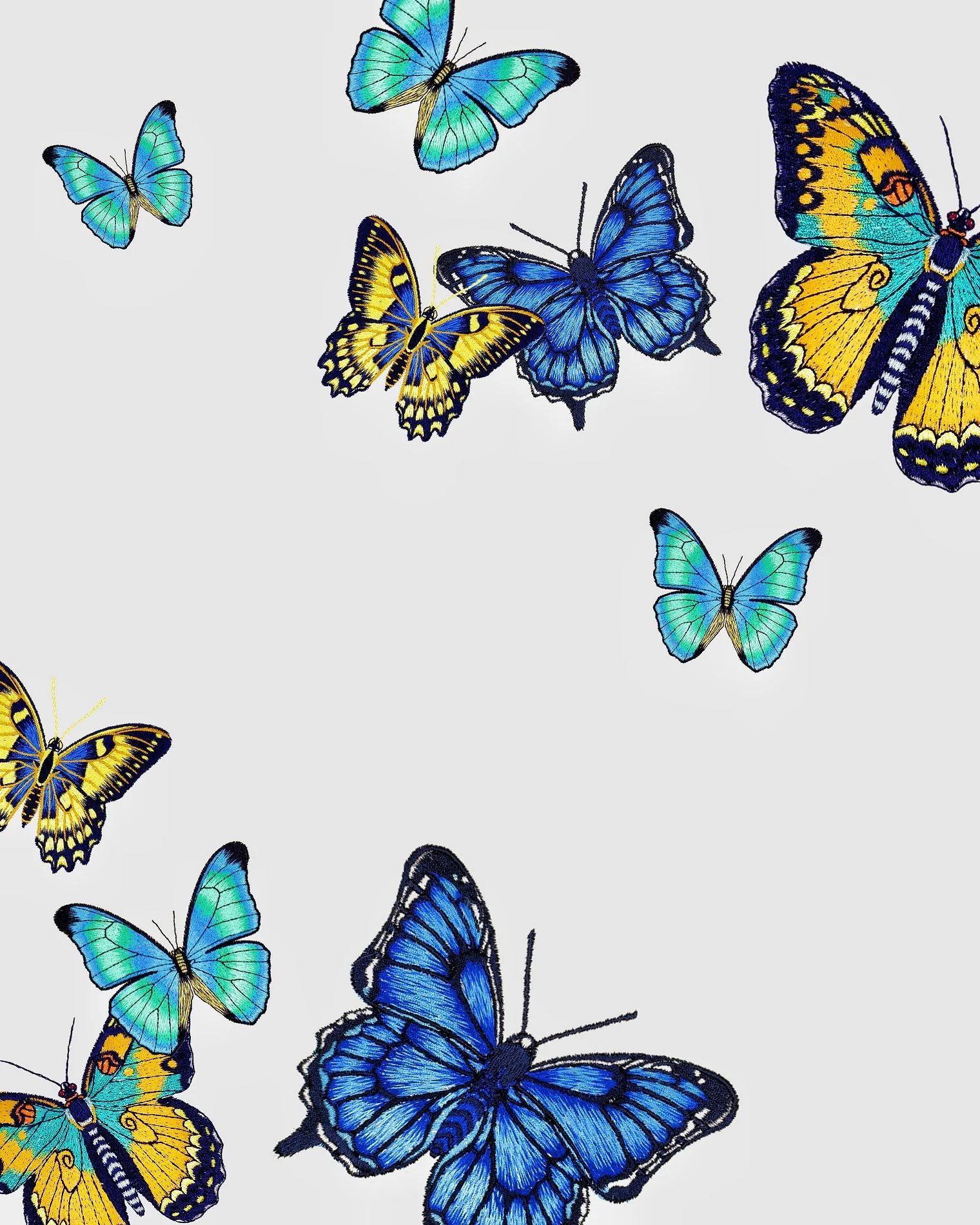 A study of wing and color, captured in thread.

#butterflies #embroidery #wallartdecor #decorativeart #homed&eacute;cor #pampan