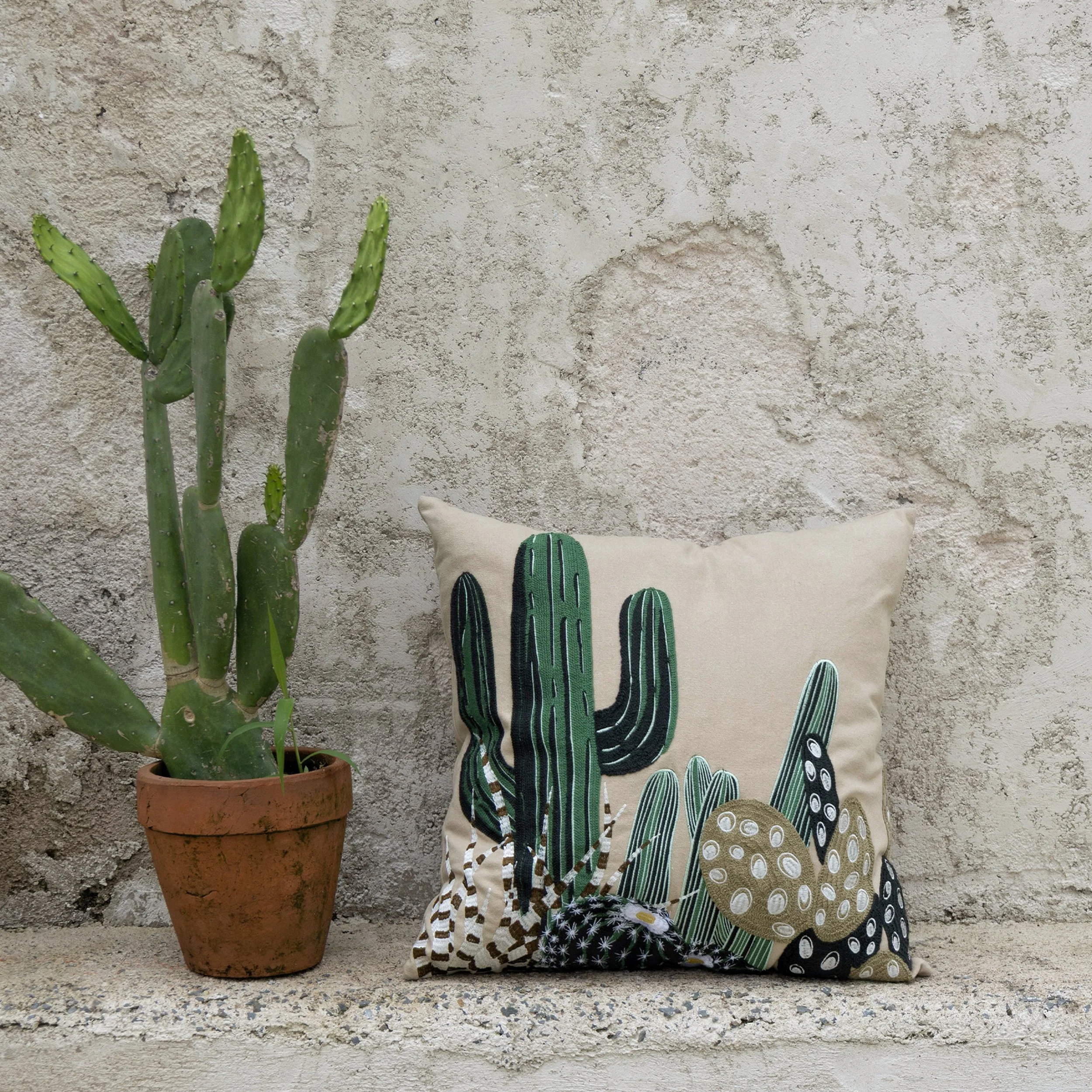 Cactus embroidered throw pillow placed against a textured concrete wall outdoors