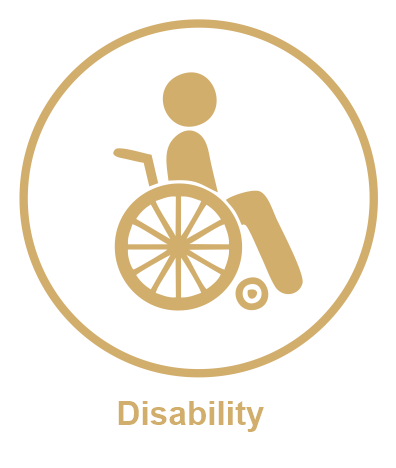 Icon of a person in a wheelchair with the word 'Disability' below, inside a circular border.