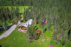 Folk Tree Farm MLS-18.jpg