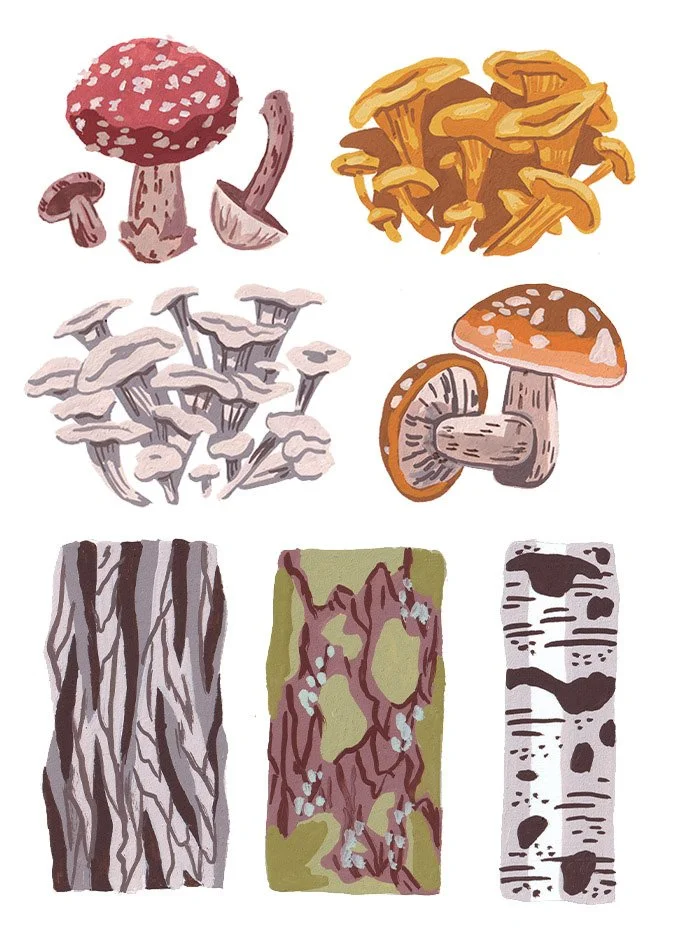 outdoor-school-hiking-camping-odd-dot-plants.jpg