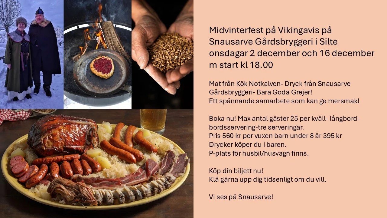 Midvinterfest med Vikingatema