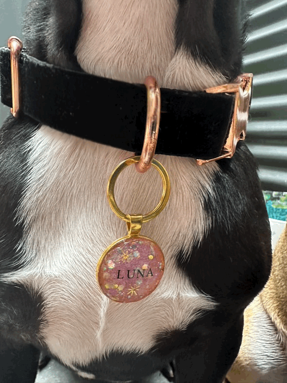 tempImageN1od4T.gif
