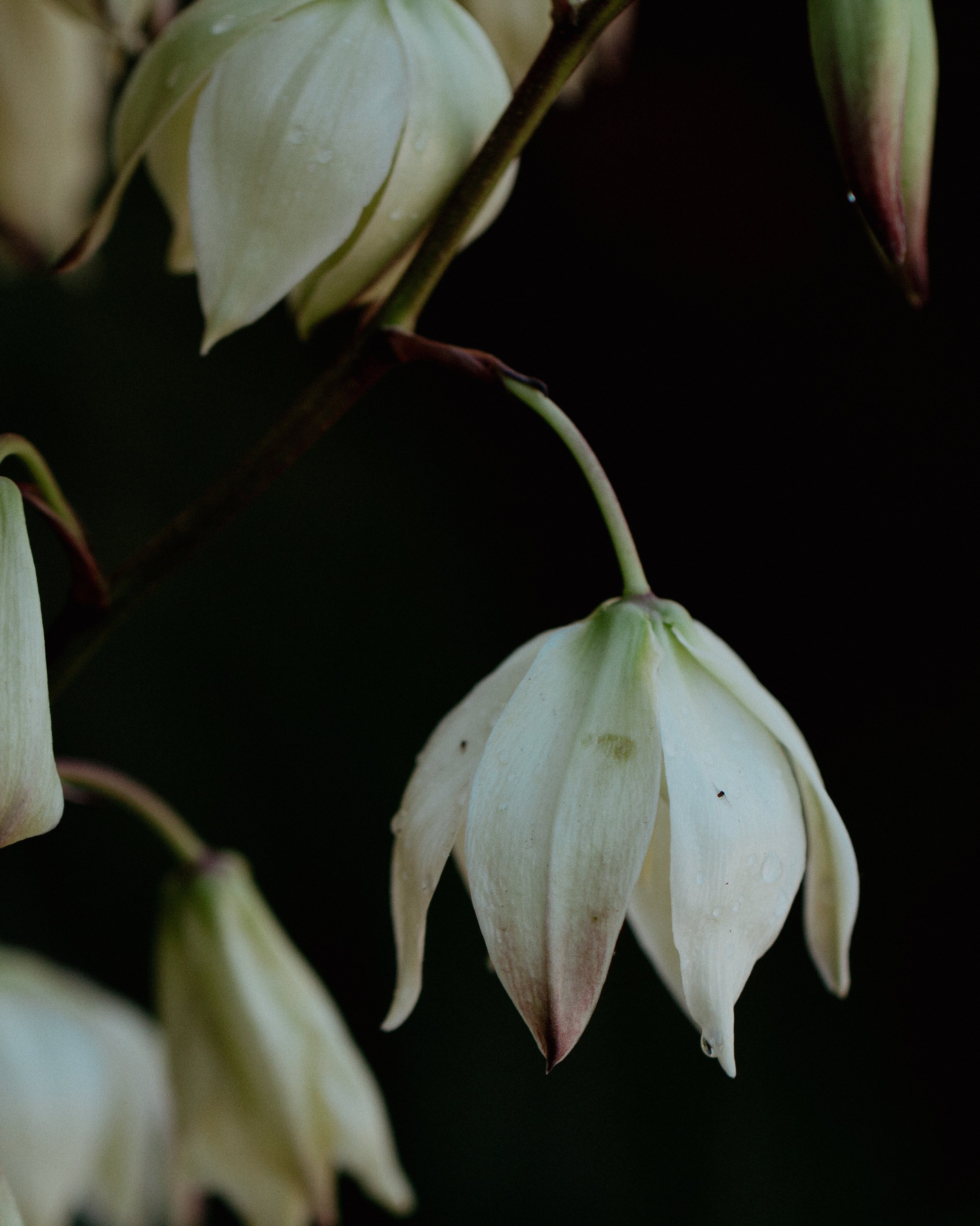 Nature photography