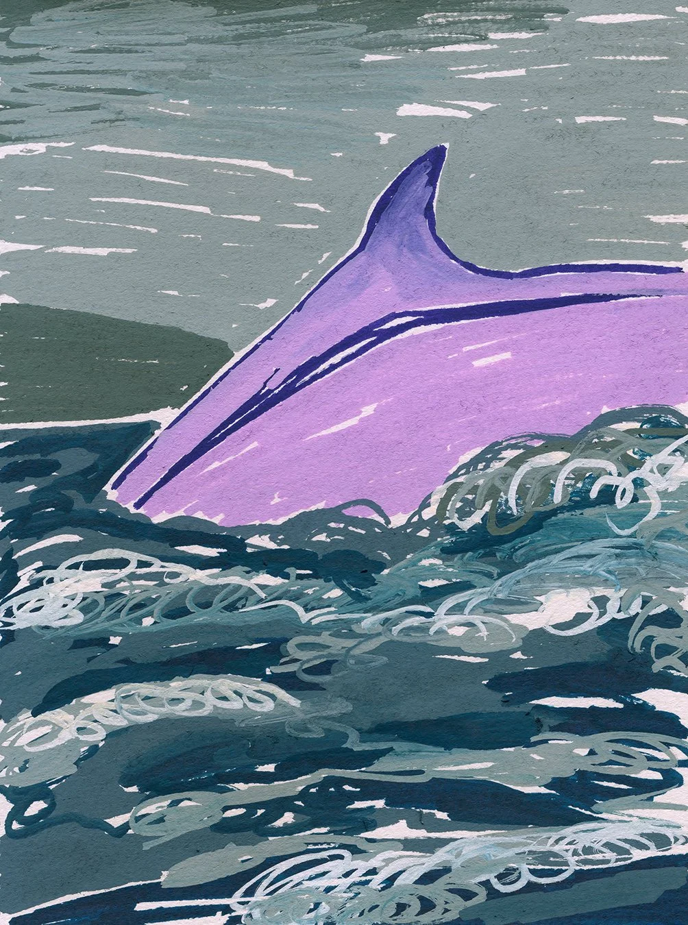 A Recent Whale In The News