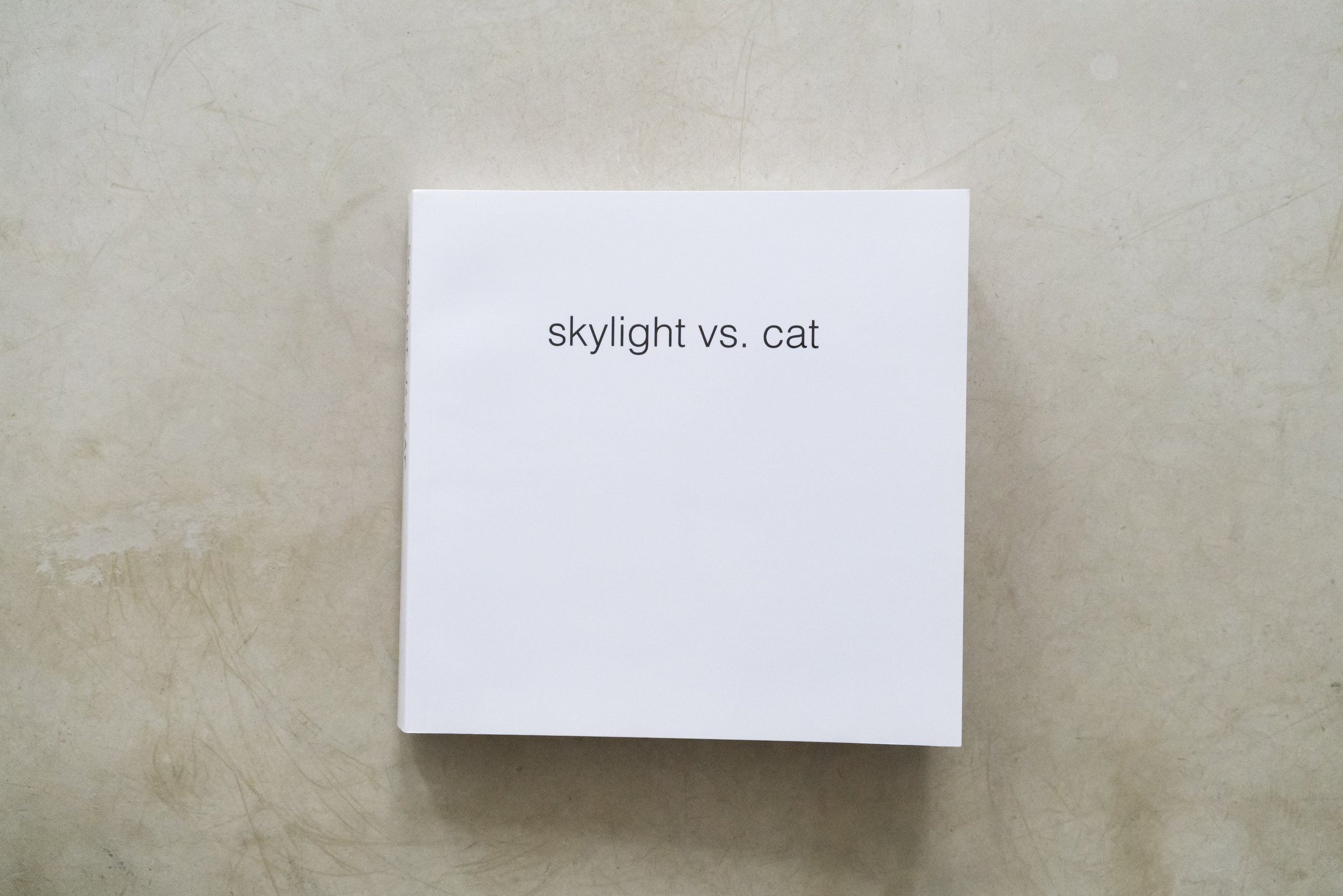 skylight vs. cat