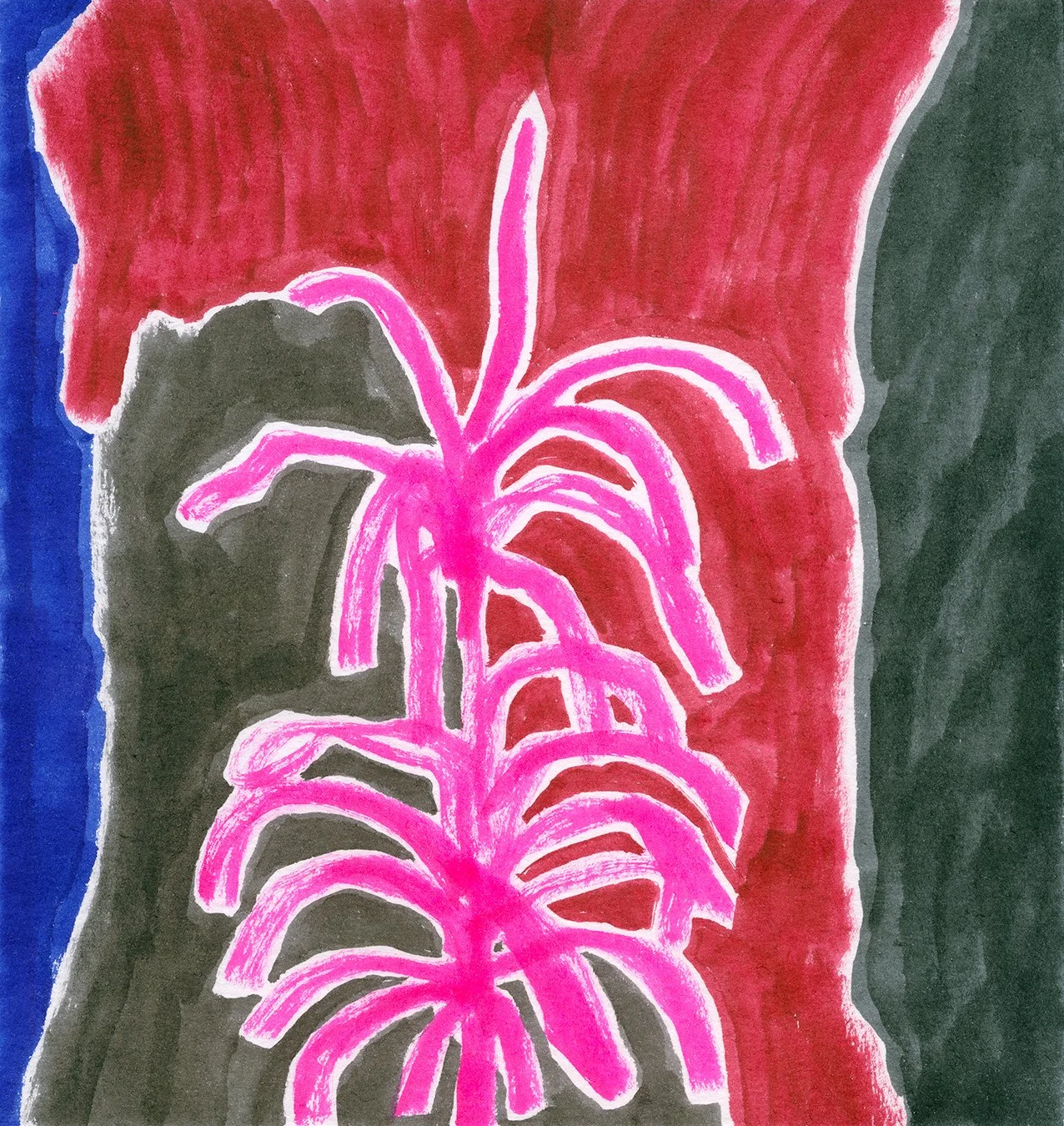 House Plant