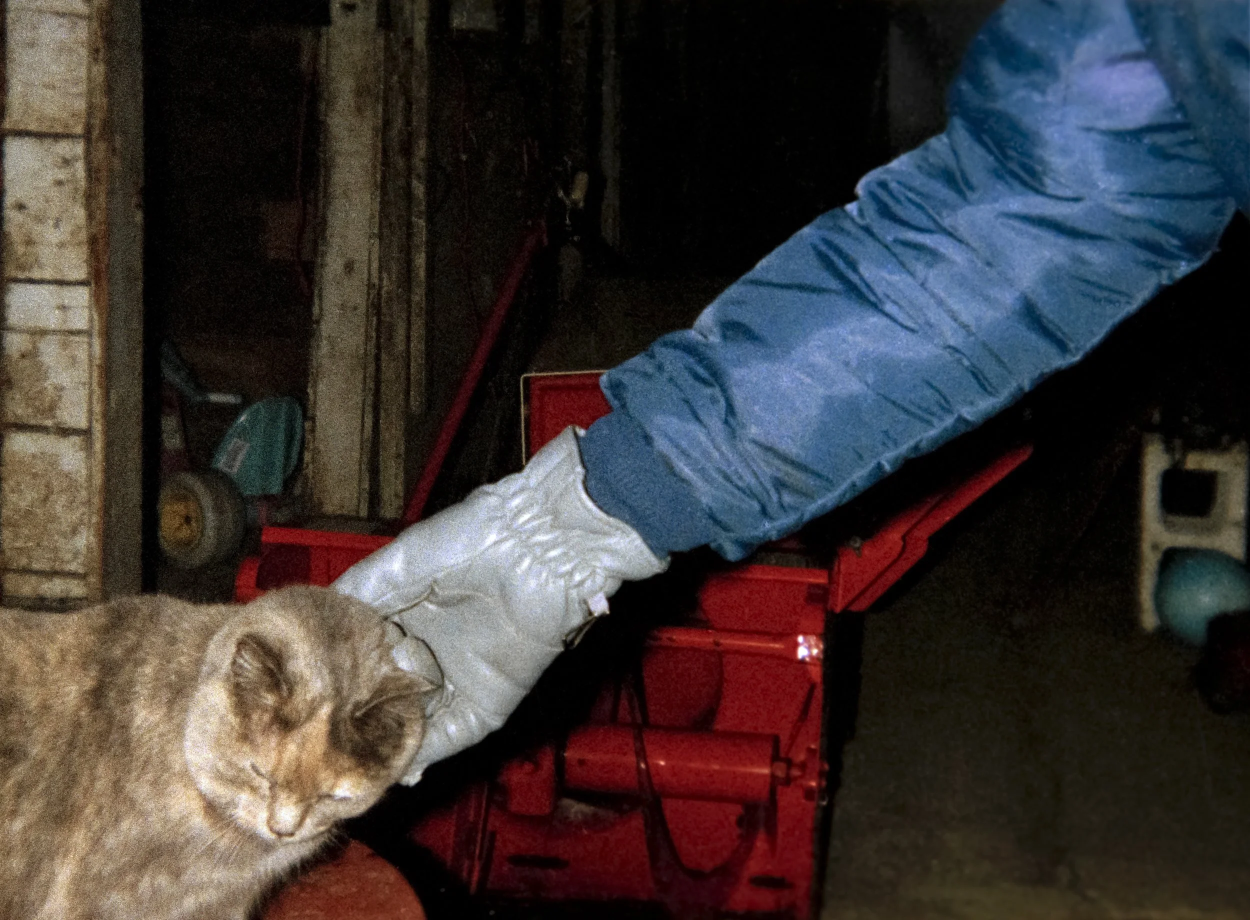 Whiskers and Dad, 1988