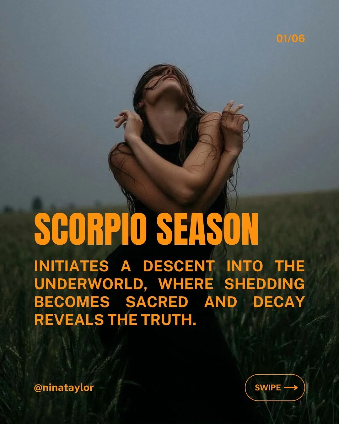 Scorpio season has begun. Reminding us that creation and destruction are never separate.
One breath feeds the other.
This is the time of deep renewal — when life asks for our courage to unclench, to let what’s finished return to the dark