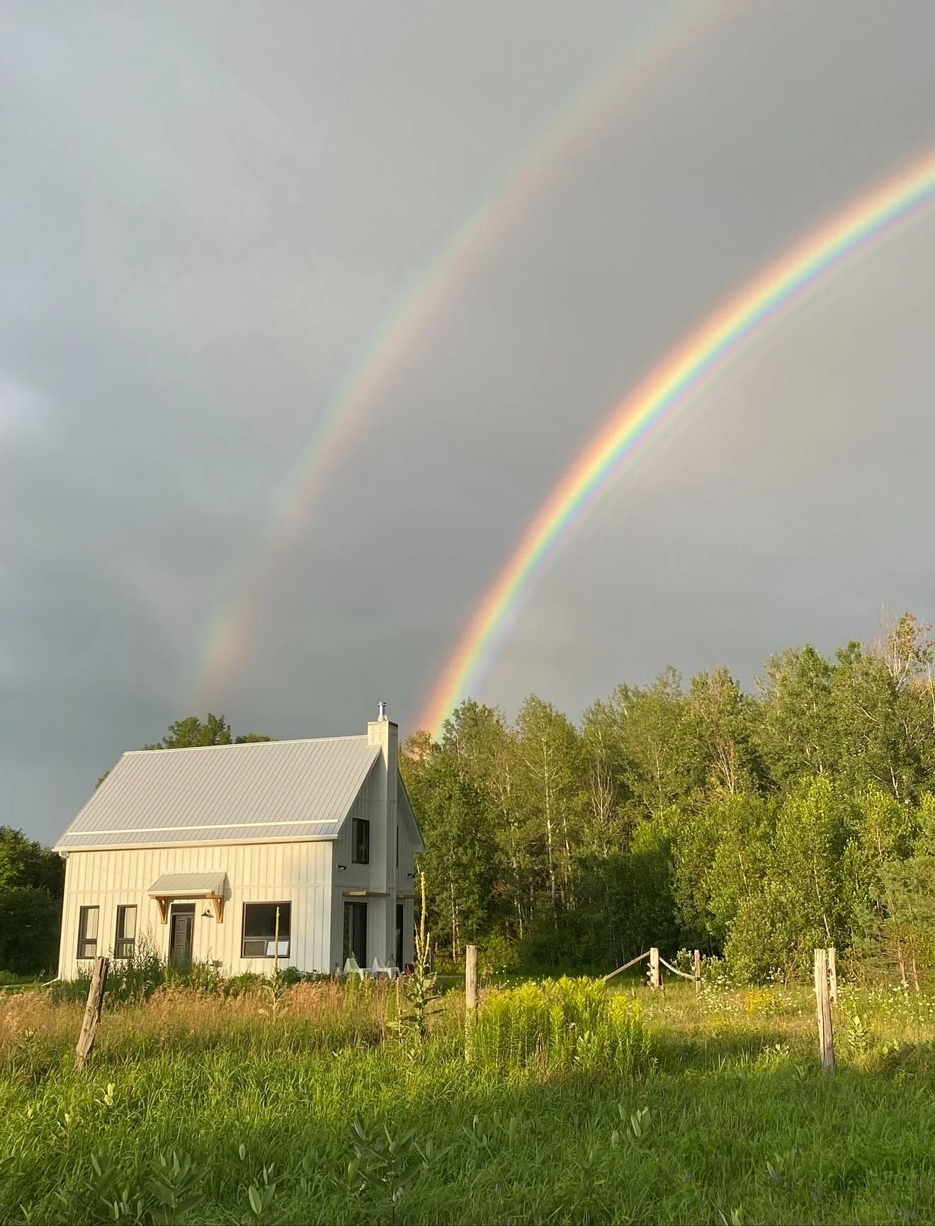 It’s happening. A vision that began as a whisper in the wind decades ago is now taking form — rooted, tangible, breathing its first real breath.
Starling is opening its doors — The Studio has been birthed.
For years, I’ve ca