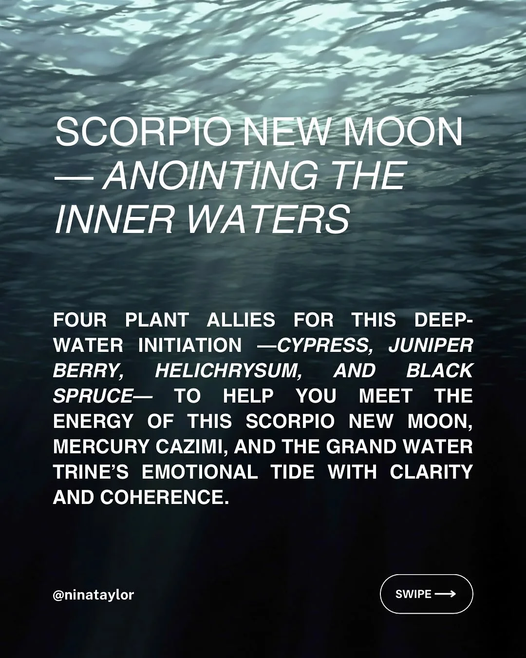 This Scorpio New Moon brings us into the undercurrent &mdash; the place where emotional sediment loosens, the body begins to release what&rsquo;s been held, and Truth reveals itself.

With a Mercury cazimi, insight sharpens from the inside out. And t