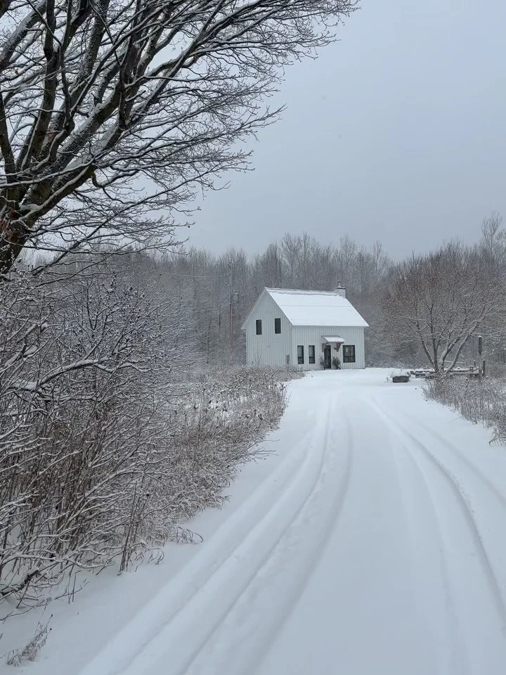 This winter turned me inside out. 

I spent the tail end of the snake year reckoning with some undeniable truths. I was stripped bare, down to the bone, and it became strikingly clear that my life required some restructuring &mdash; to actively culti