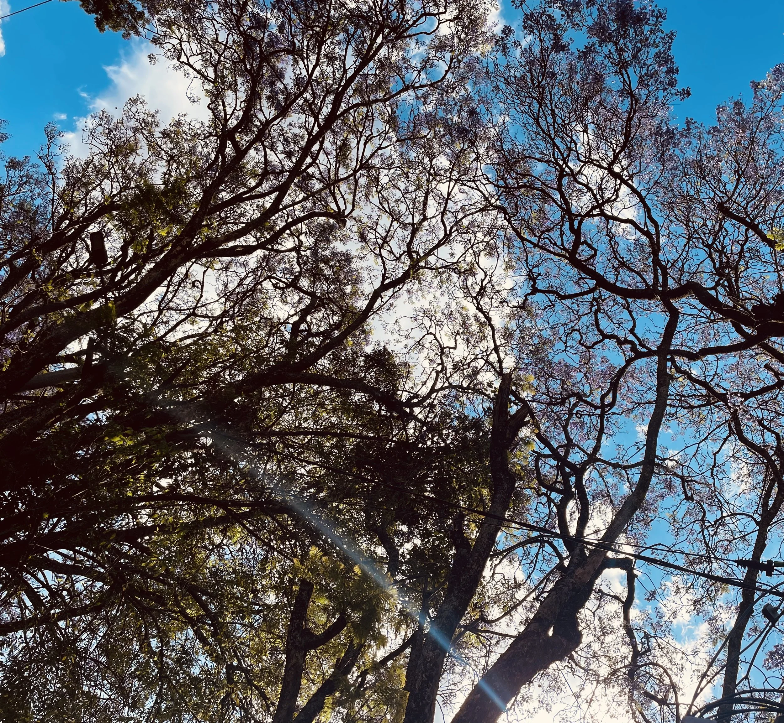 Specialised Boutique Nairobi Obstetric service