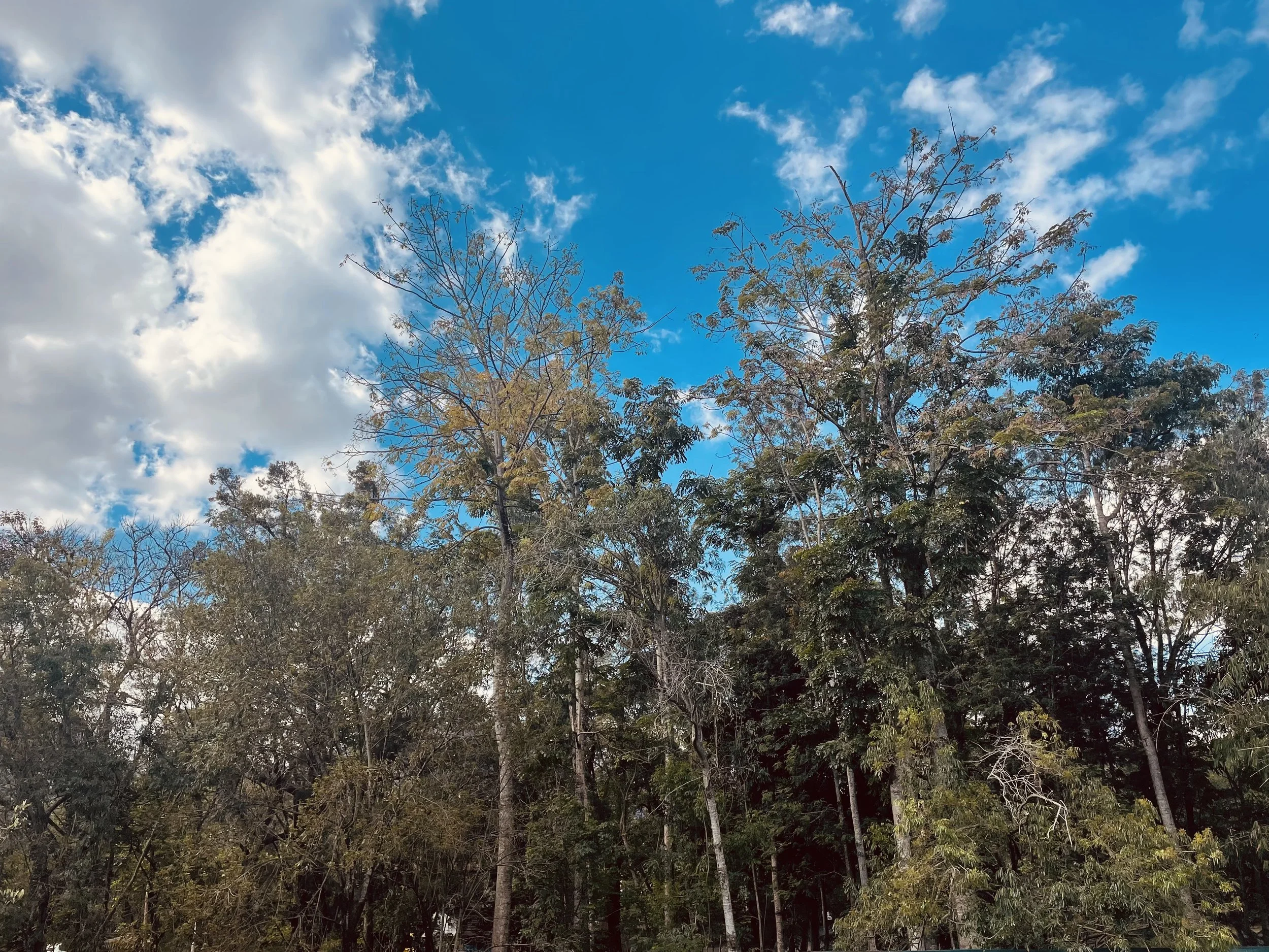 Focused caring obstetrician