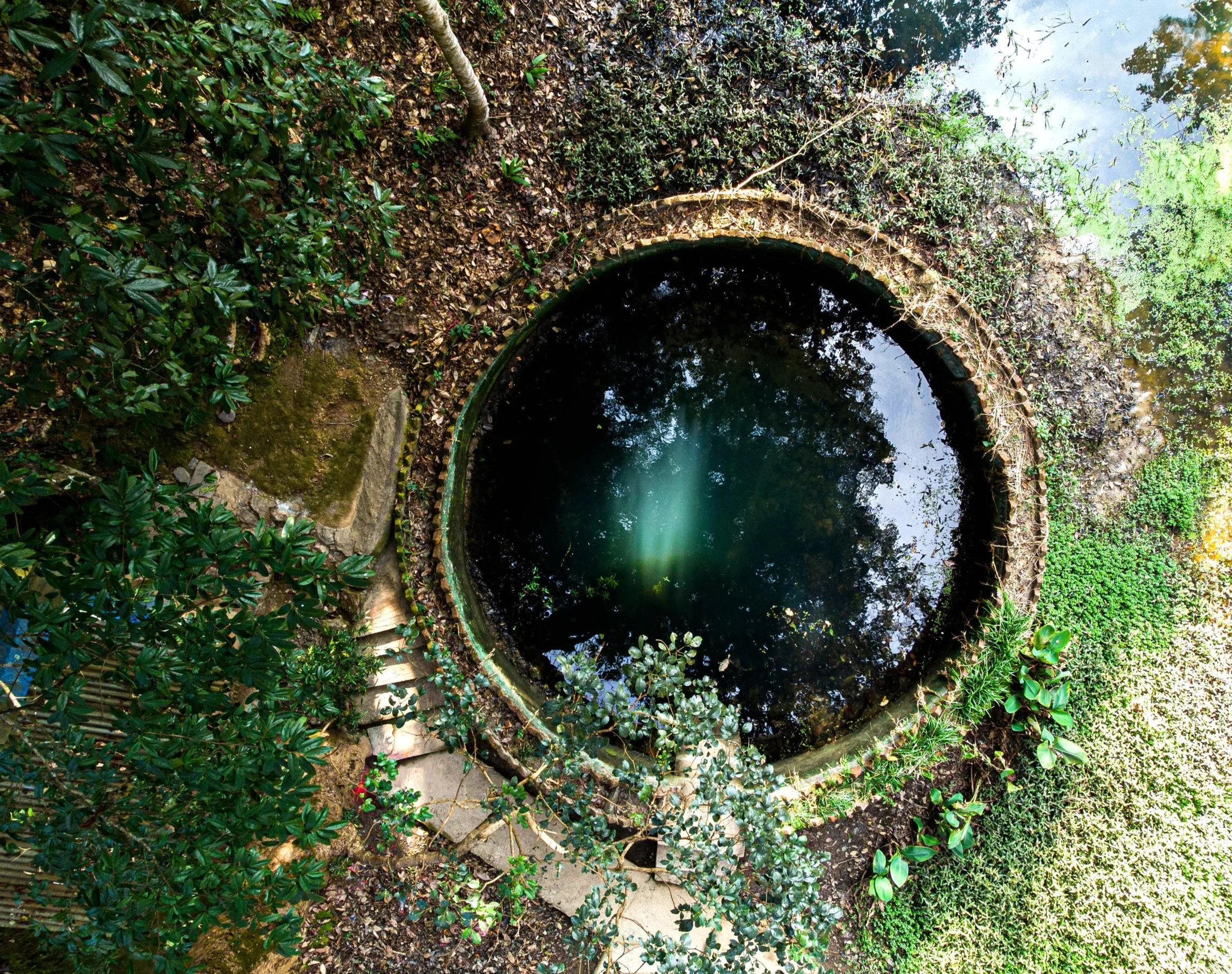 A circular well surrounded by green bushes and plants outdoors, with a concrete pathway around it and a reflection of the sky in the water.