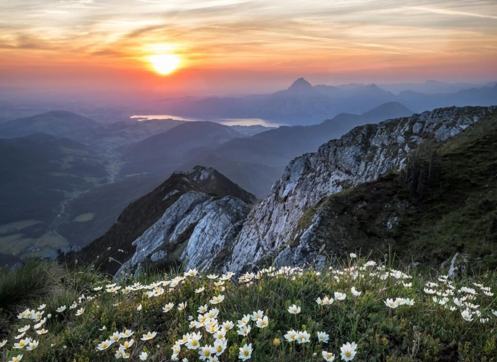 Sunset over mountain landscape with rocky slopes and wildflowers in the foreground.