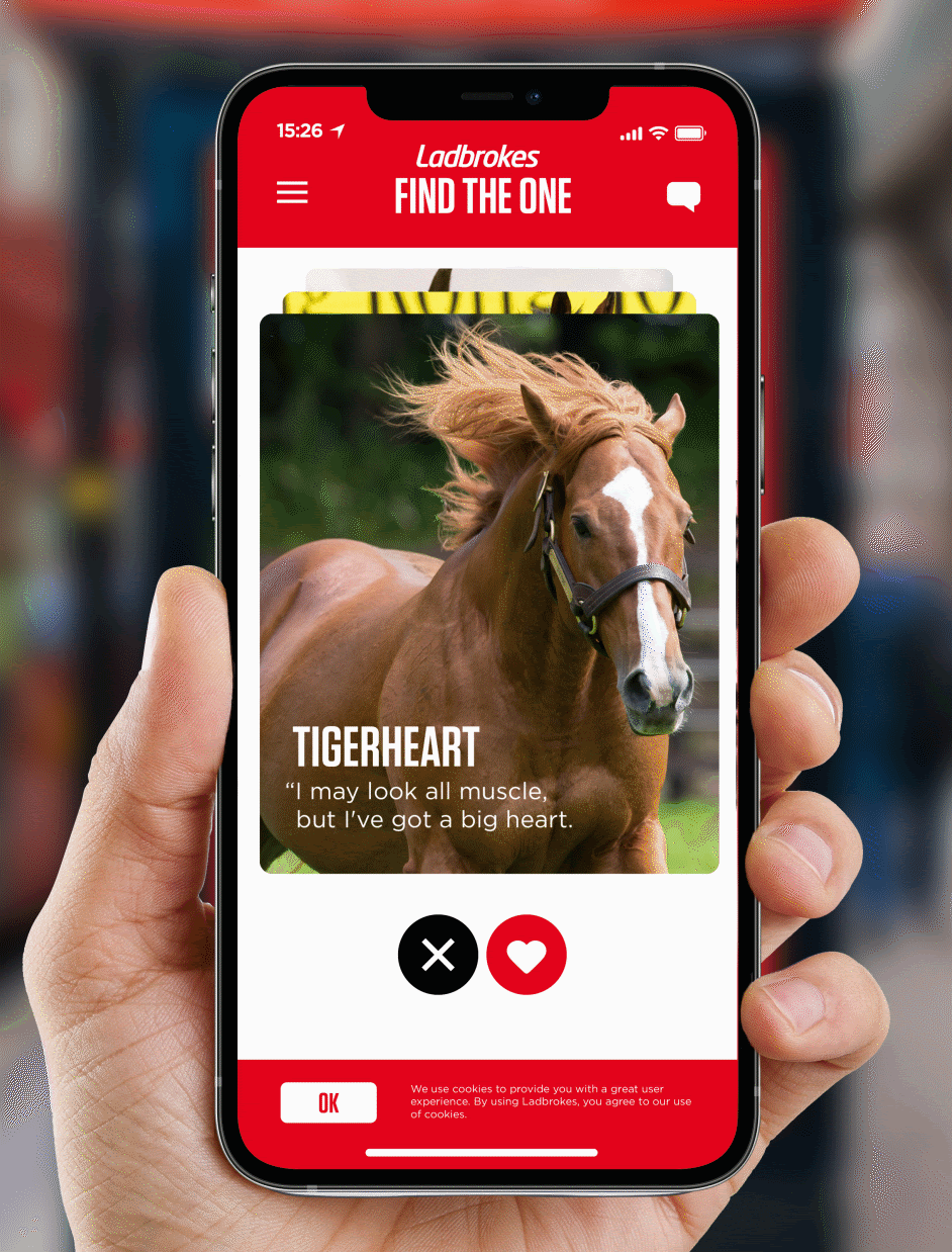 Tinder_Horse_3.gif