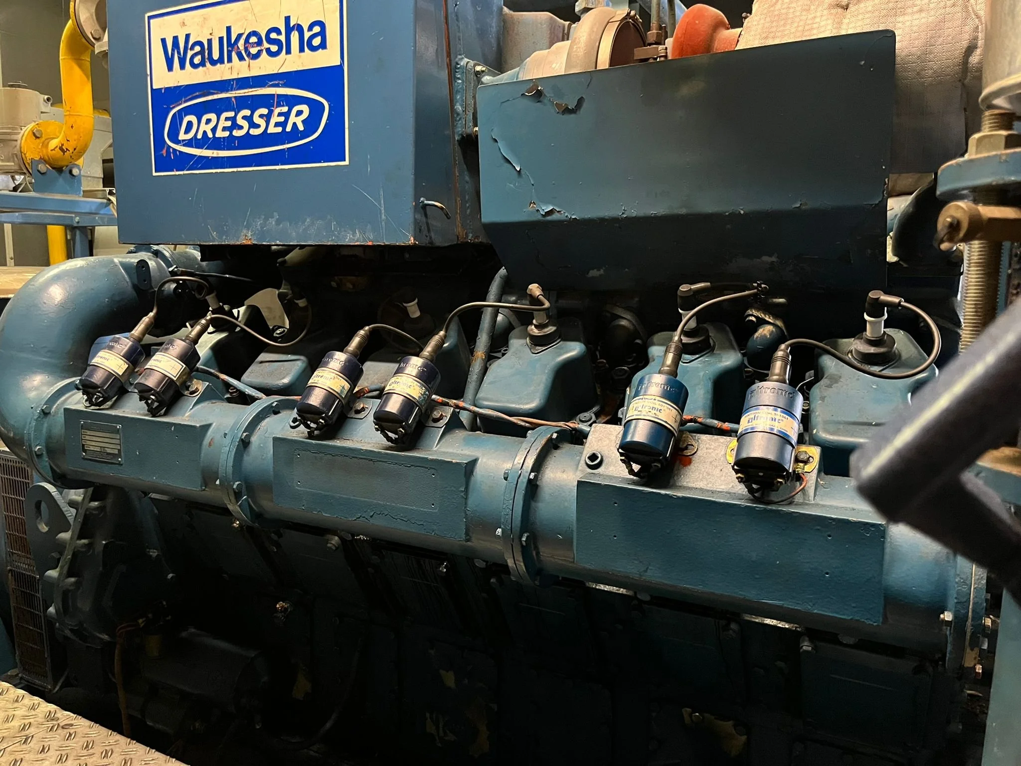 WhatsApp Image 2023-03-24 at 07.23.28.jpeg