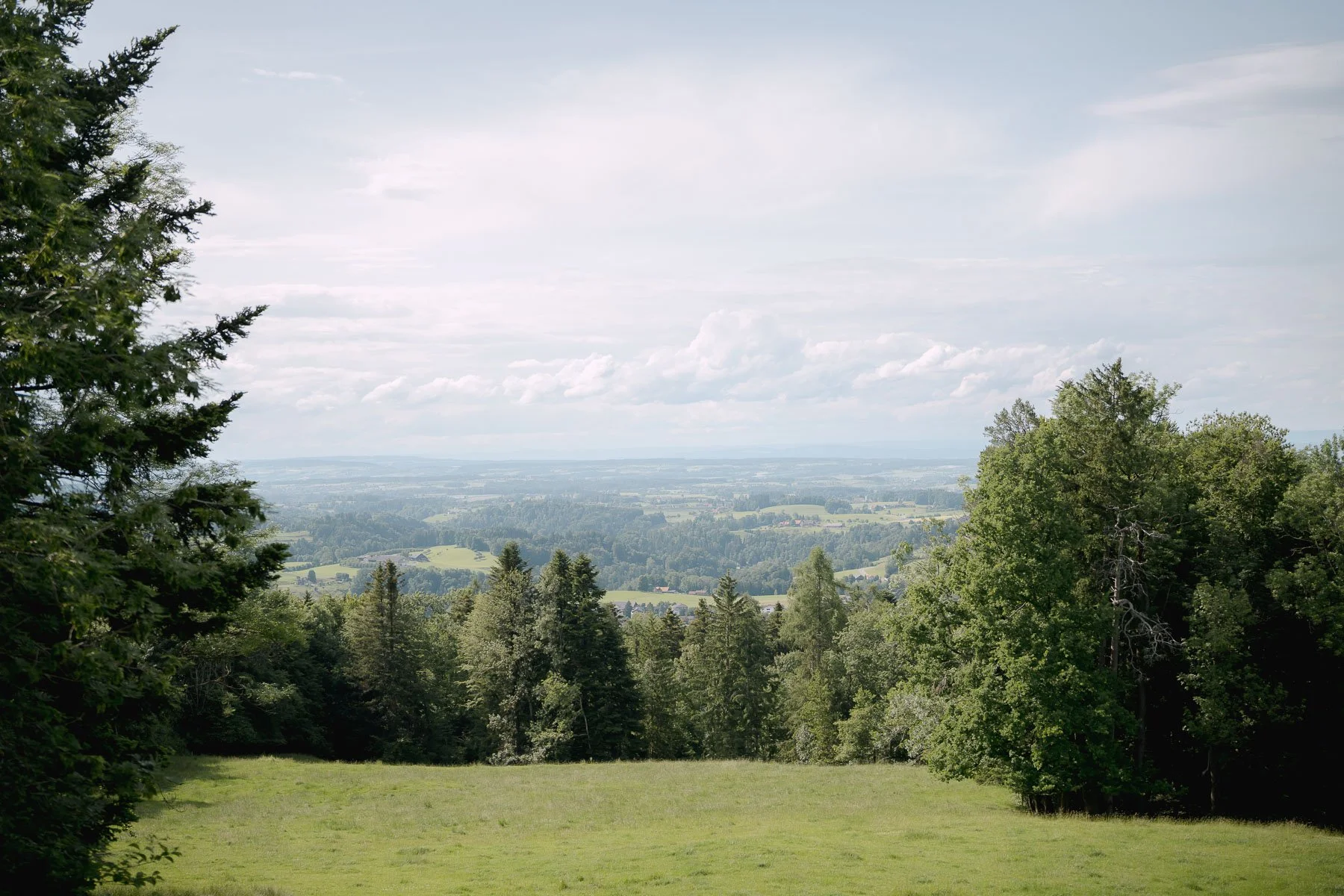 Hochzeitsreportage Tröcknerturm St. Gallen — Martina Eggenberger Fotografie