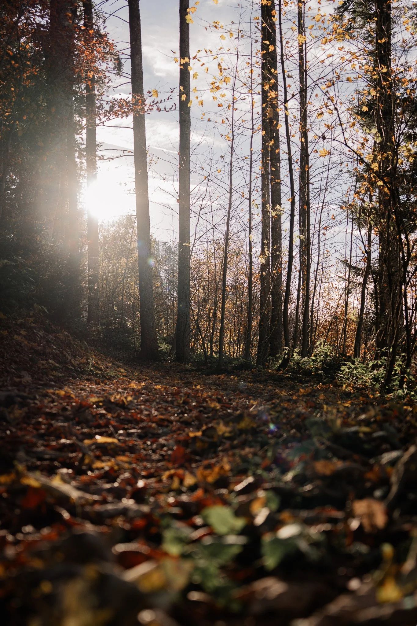 Landschaft Hoher Hirschberg – Martina Eggenberger Fotografie