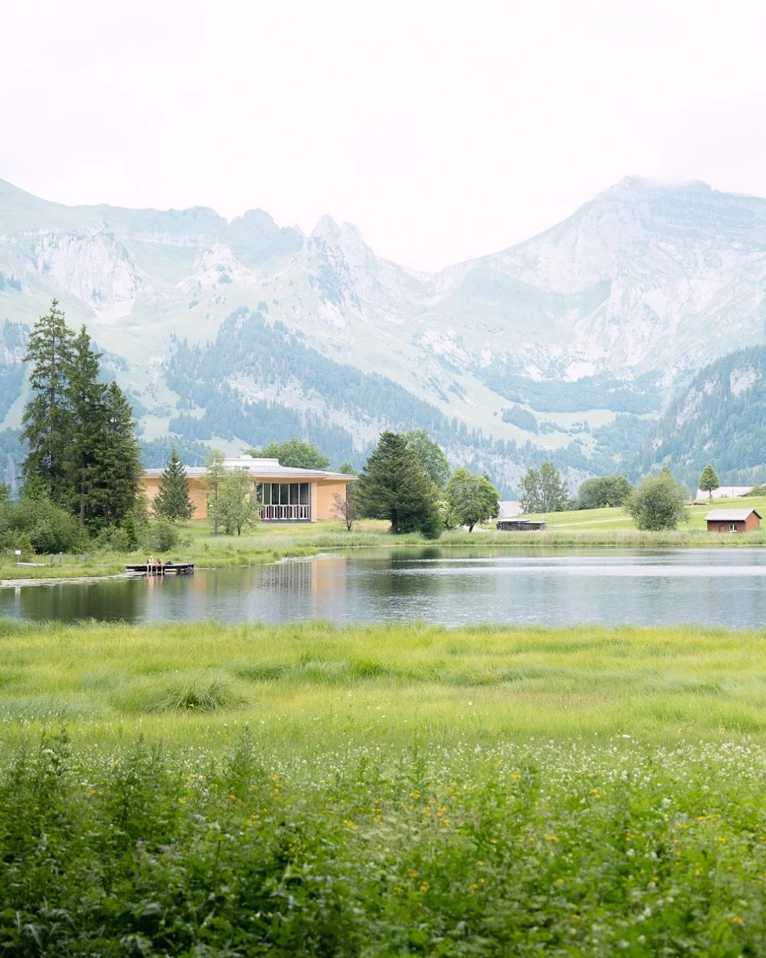 Toggenburg 🤍 meine zweite Heimat in Bildern. 

Hier finde ich Ruhe, Inspiration und Klarheit. Mit den sanften H&uuml;geln, bl&uuml;henden Wiesen und dem Blick auf die Berge f&uuml;hlt es sich jedes Mal ein bisschen wie Heimkommen an.
.
.
.
.
#toggen