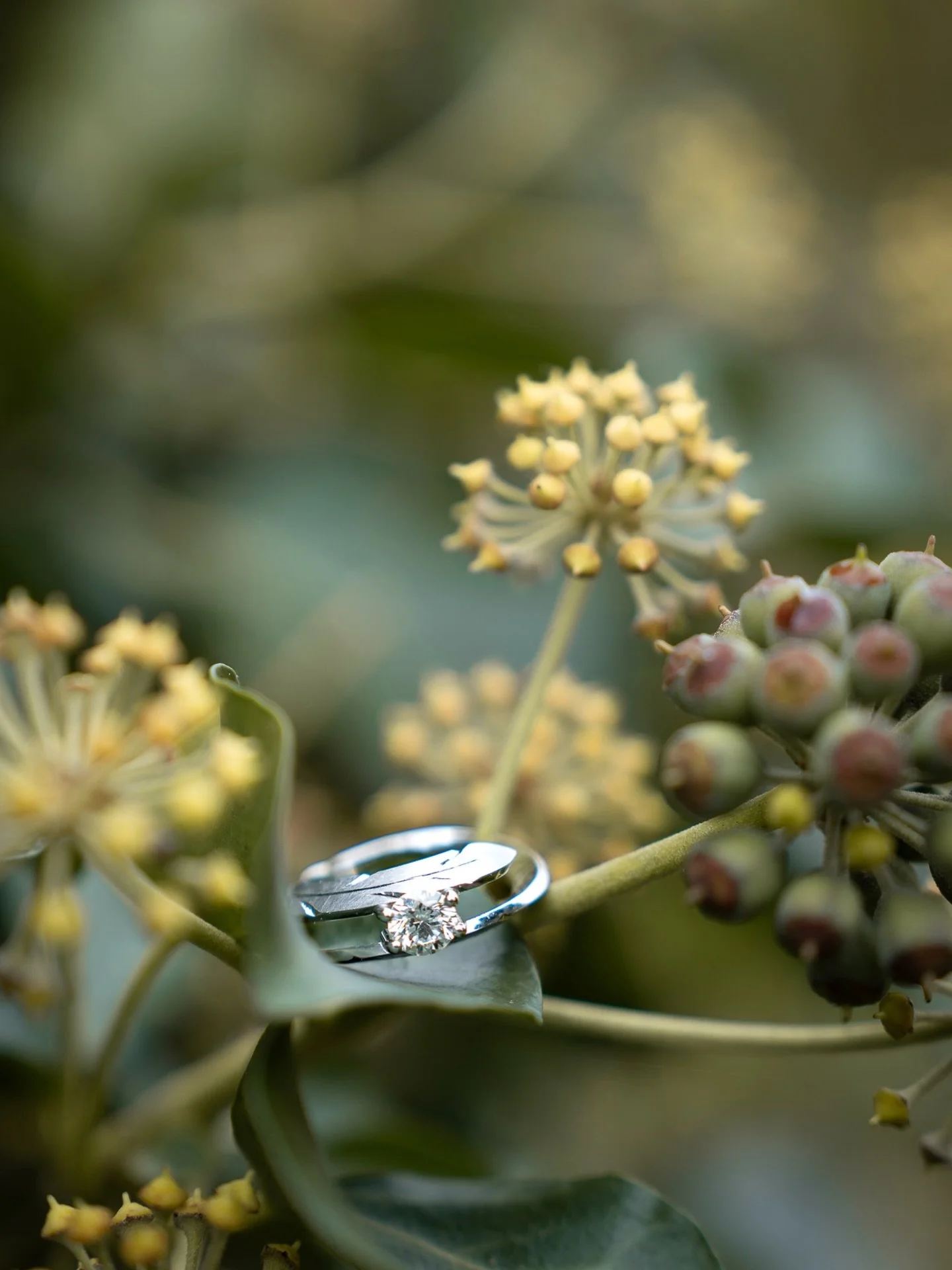 Euer grosser Moment beginnt jetzt.

Noch f&uuml;hlt sich alles ein bisschen weit weg an &ndash; aber 2026 kommt schneller, als man denkt. 💫

Ob bei der Verlobung, dem ersten Kuss als Ehepaar oder beim ausgelassenen Tanzen &ndash; ich halte f&uuml;r 