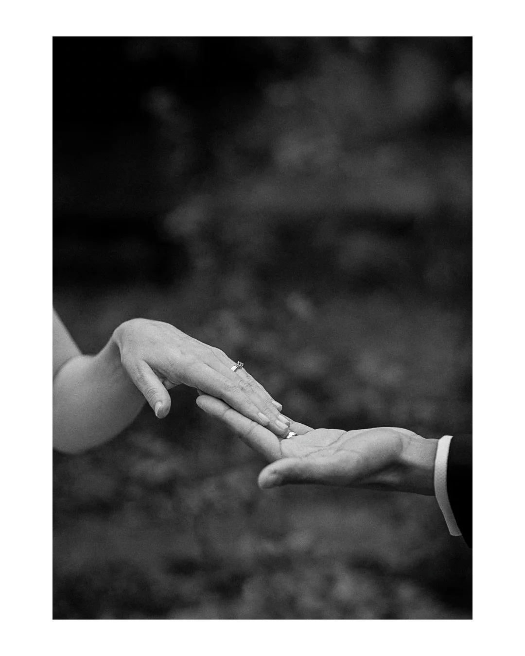 Hold on tight. Hold on forever. 🤍
.
.
.
#hochzeitsfotografschweiz 
#hochzeitsfotografostschweiz 
#fineartweddingphotographer 
#brautpaarshooting 
#schlosshochzeit