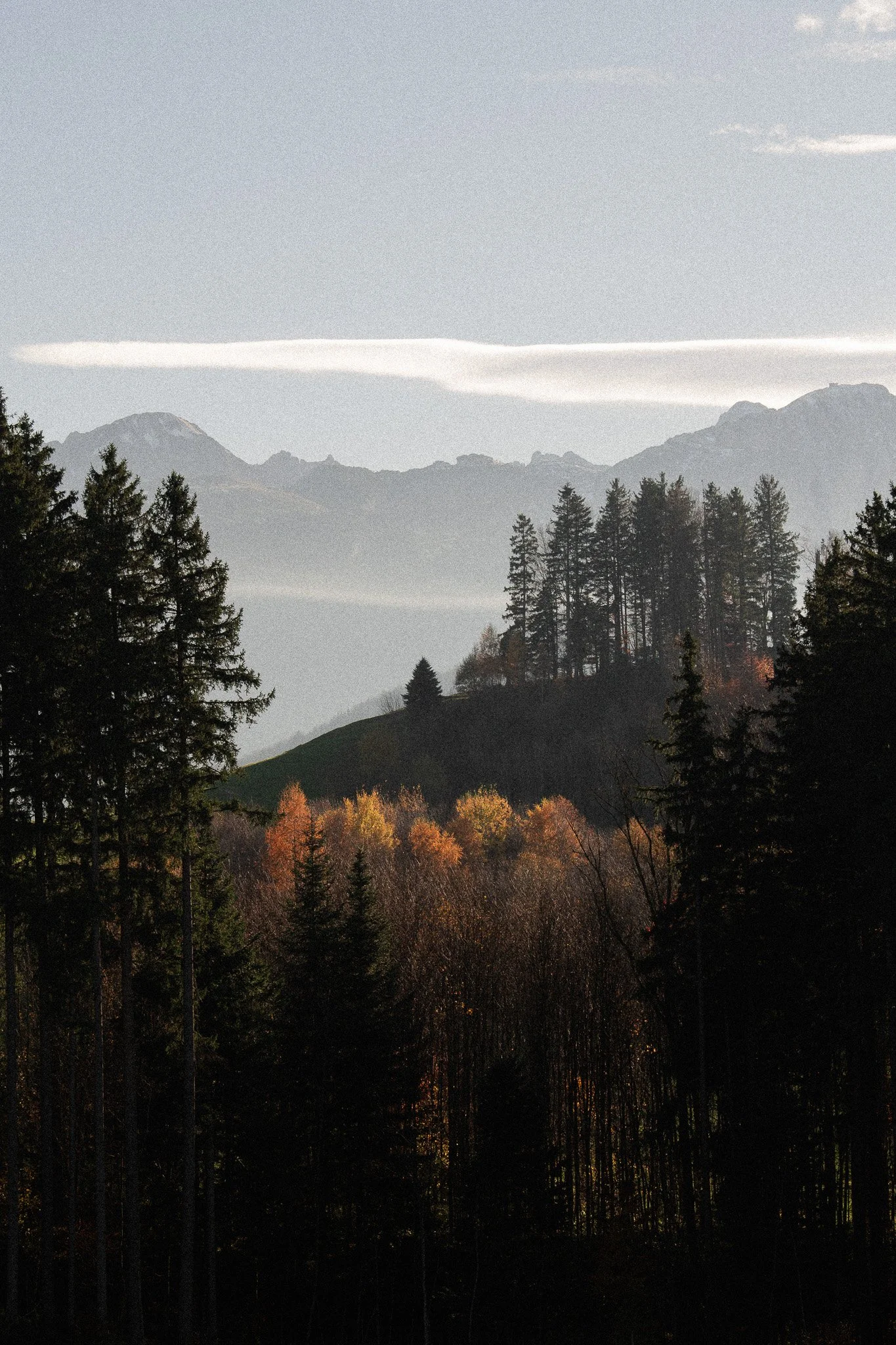 Landschaft Hoher Hirschberg – Martina Eggenberger Fotografie