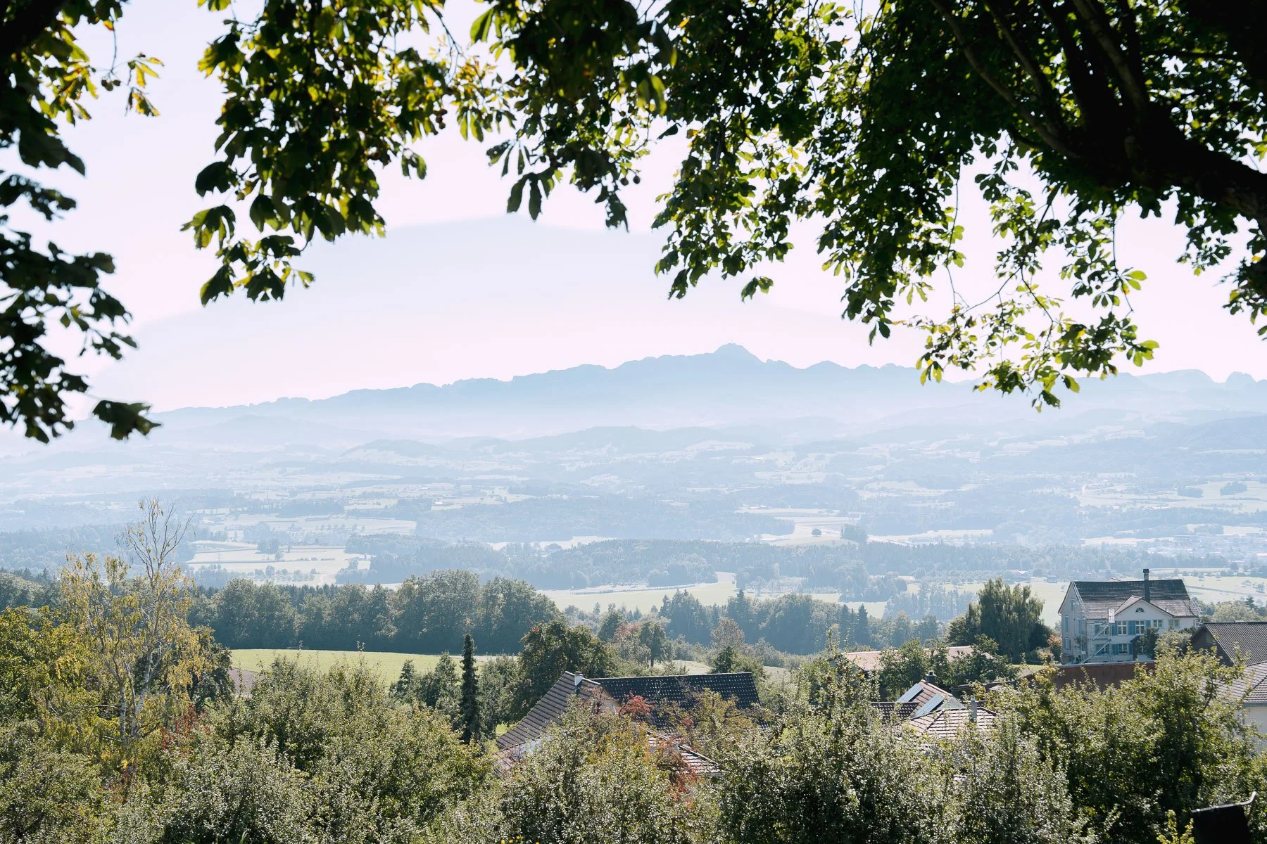 Hotelfotografie Restaurant Nollen Thurgau — Martina Eggenberger Fotografie