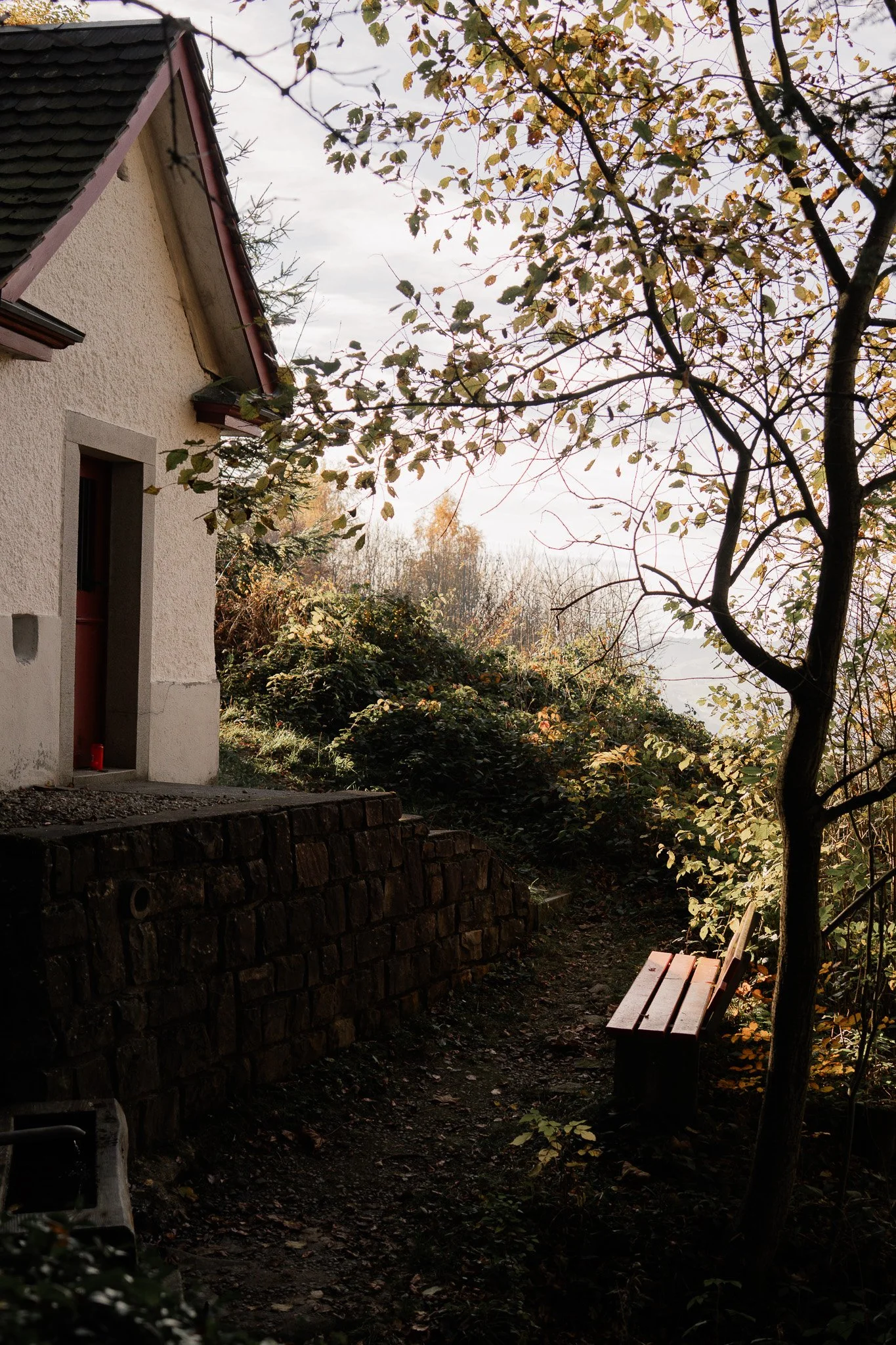 Landschaft Hoher Hirschberg – Martina Eggenberger Fotografie