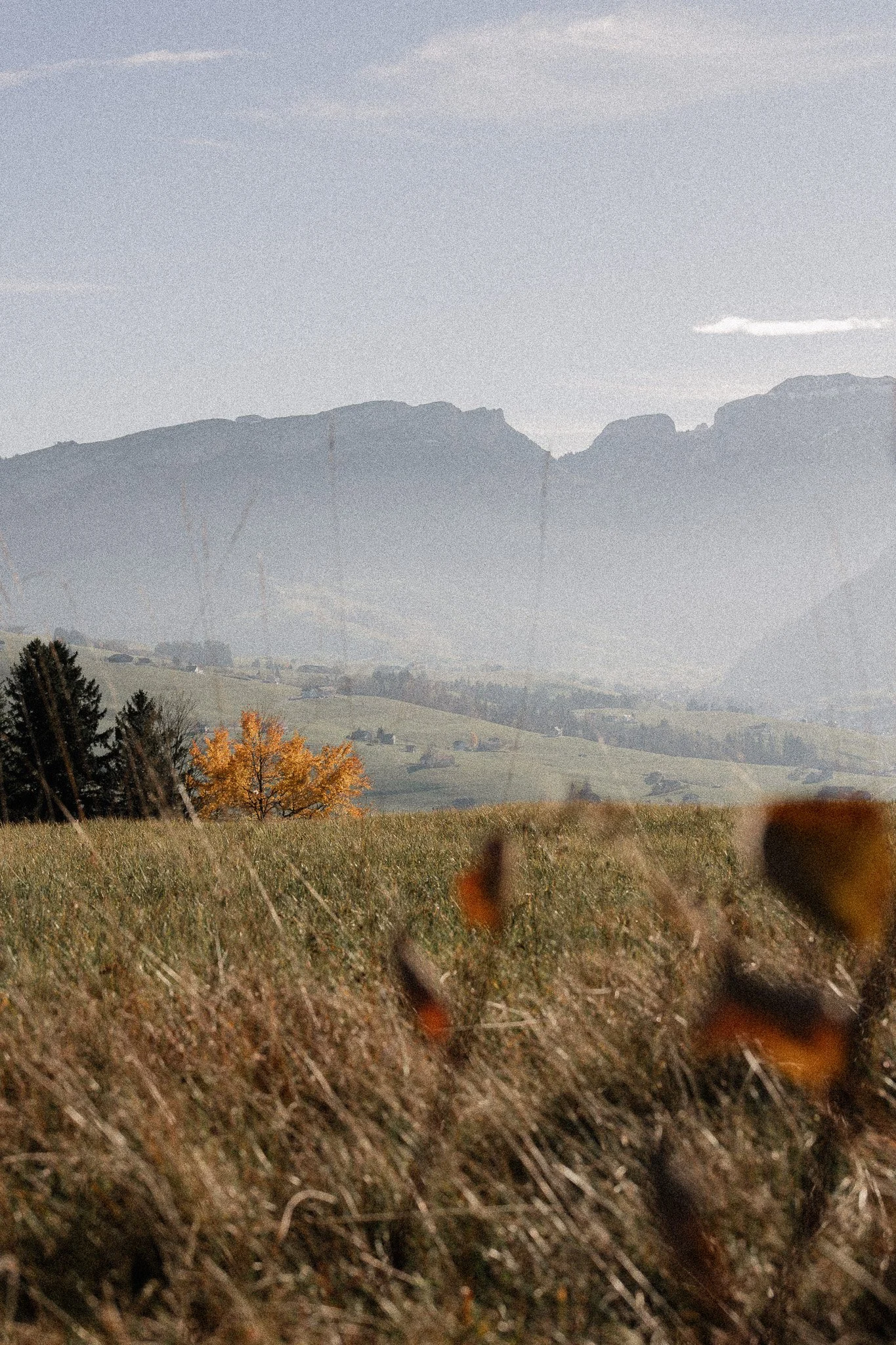 Landschaft Hoher Hirschberg – Martina Eggenberger Fotografie