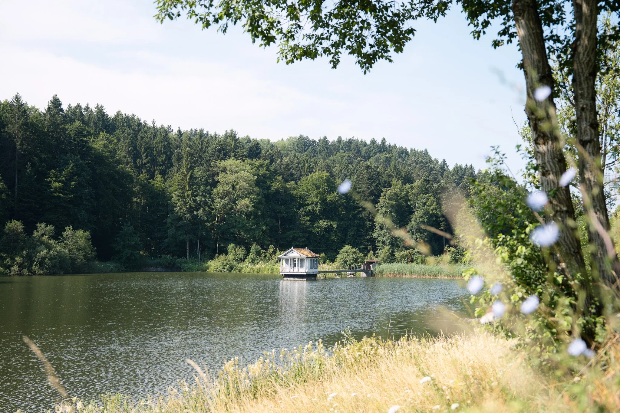 Ein See mit einem Haus auf Stelzen, umgeben von Bäumen und Pflanzen, bei sonnigem Wetter.