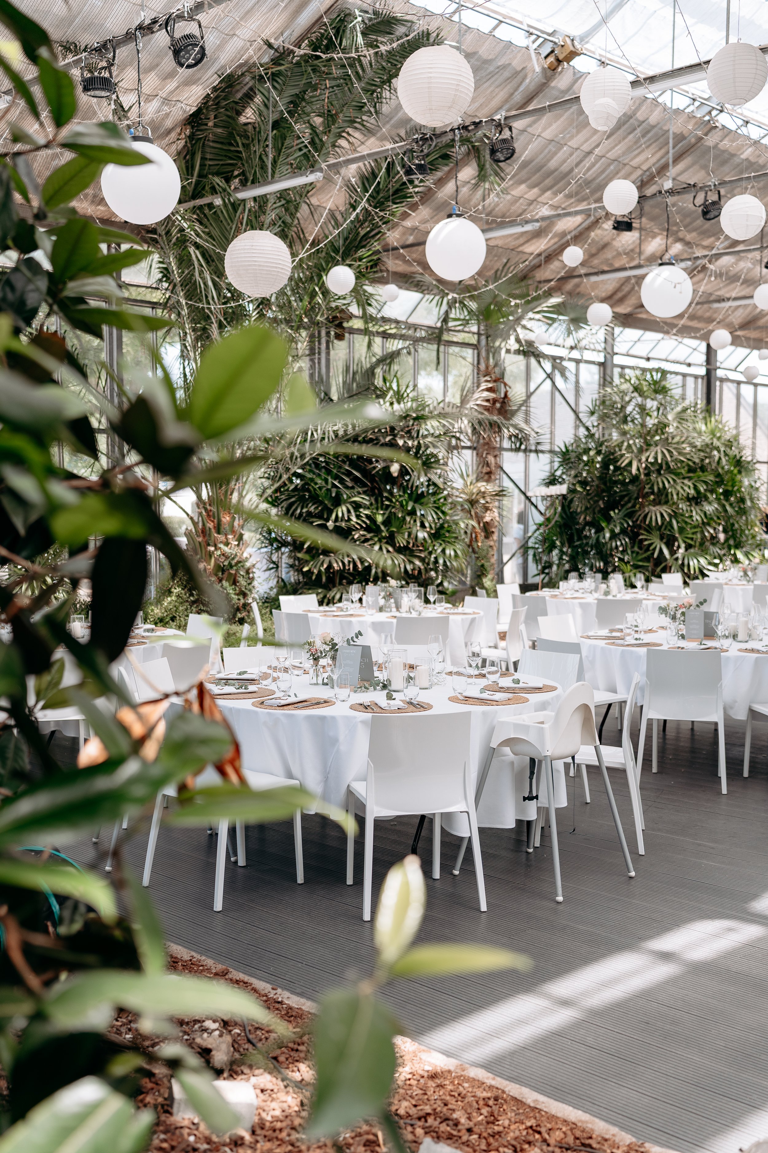 3 - Sabina & Martin-13.jpg