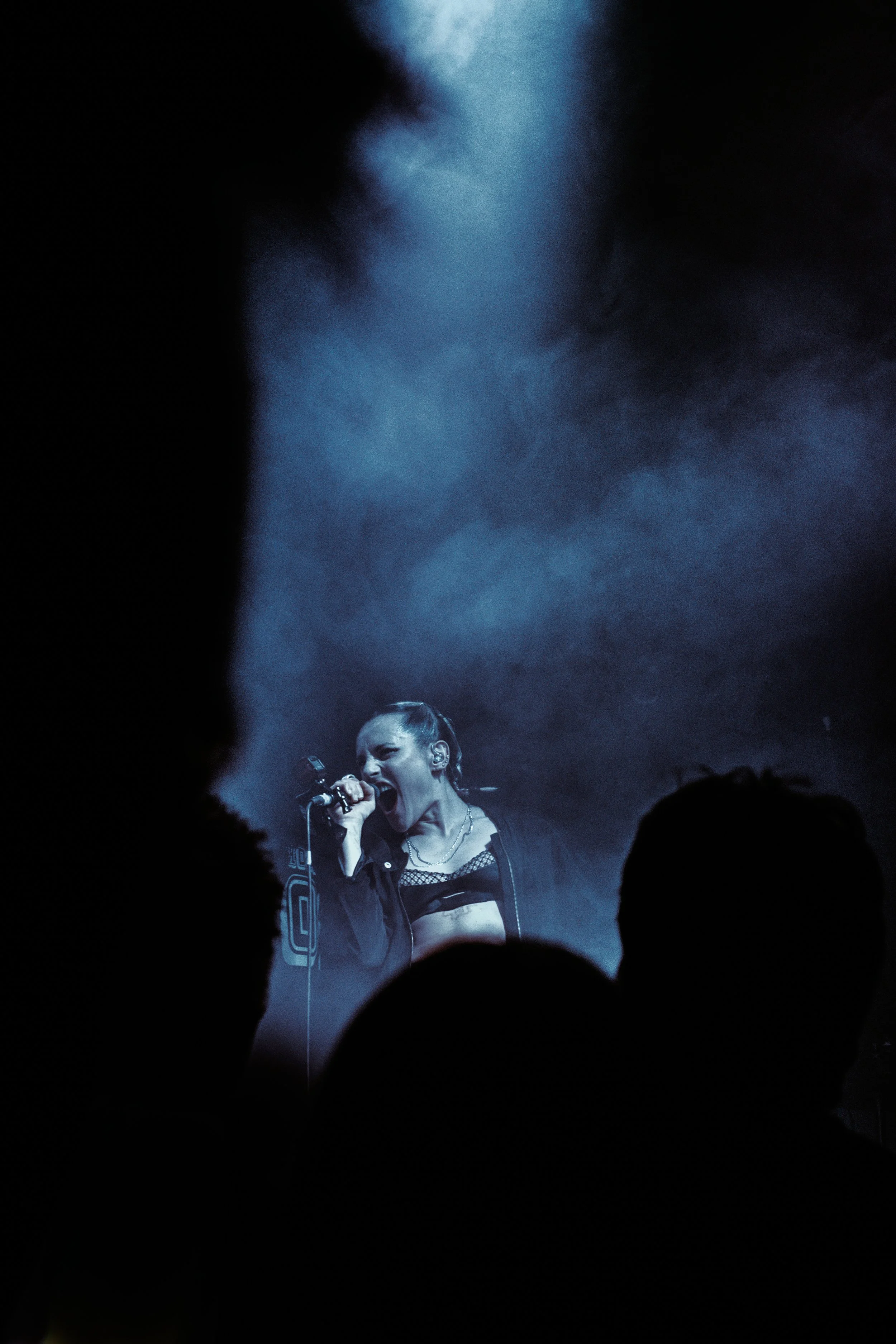 DSC00309.jpg