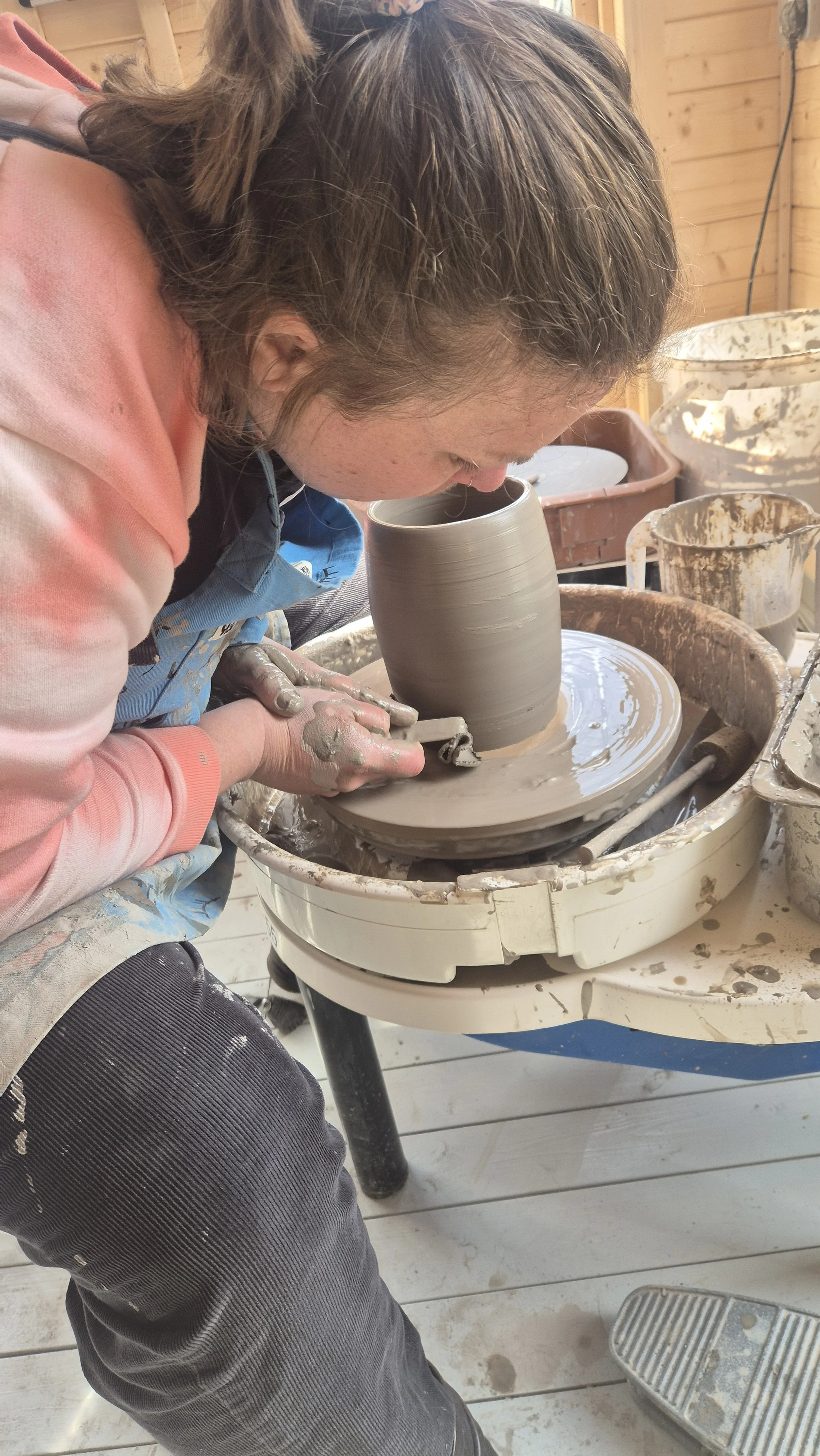 6 week beginners course