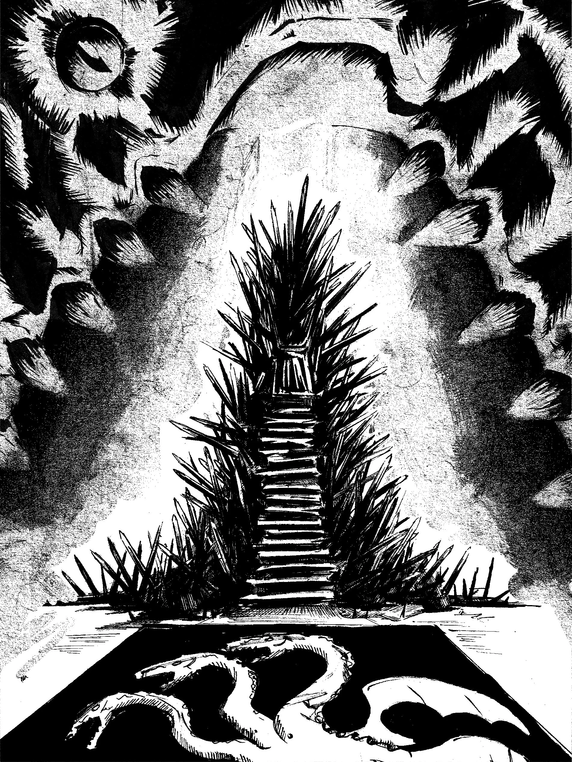 Illustration.jpg