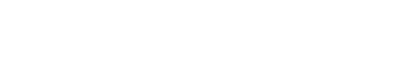 New Frontier Health Consulting