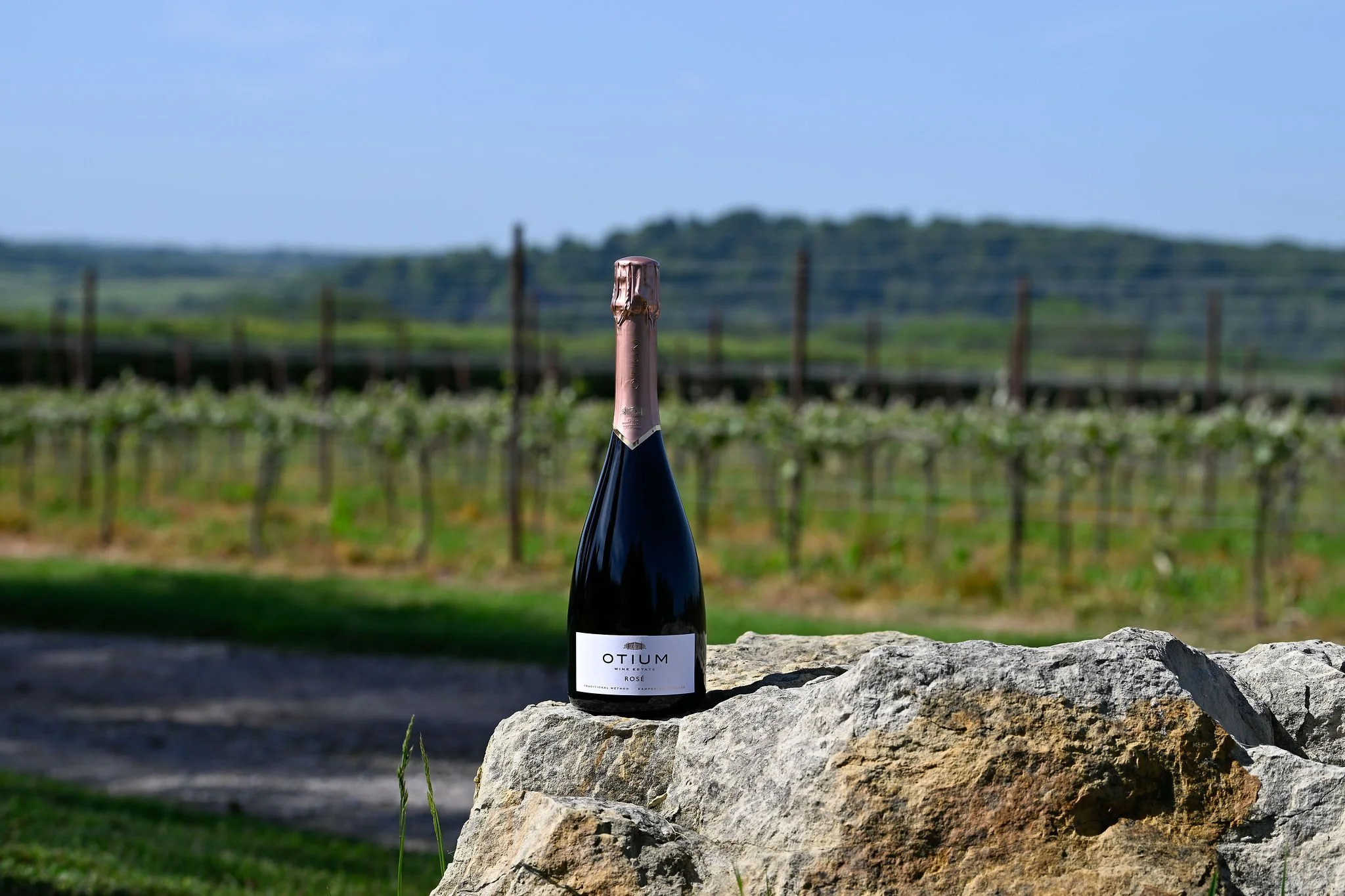 Otium Sparkling Rosé Estate View LR.jpg