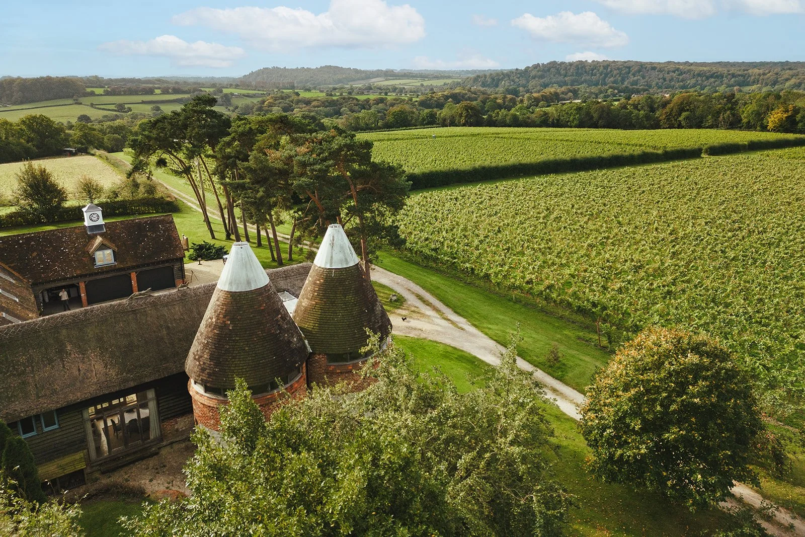 Rural landscape featuring a vineyard, traditional brick buildings with conical roofs, surrounding greenery, and distant hills under a blue sky.