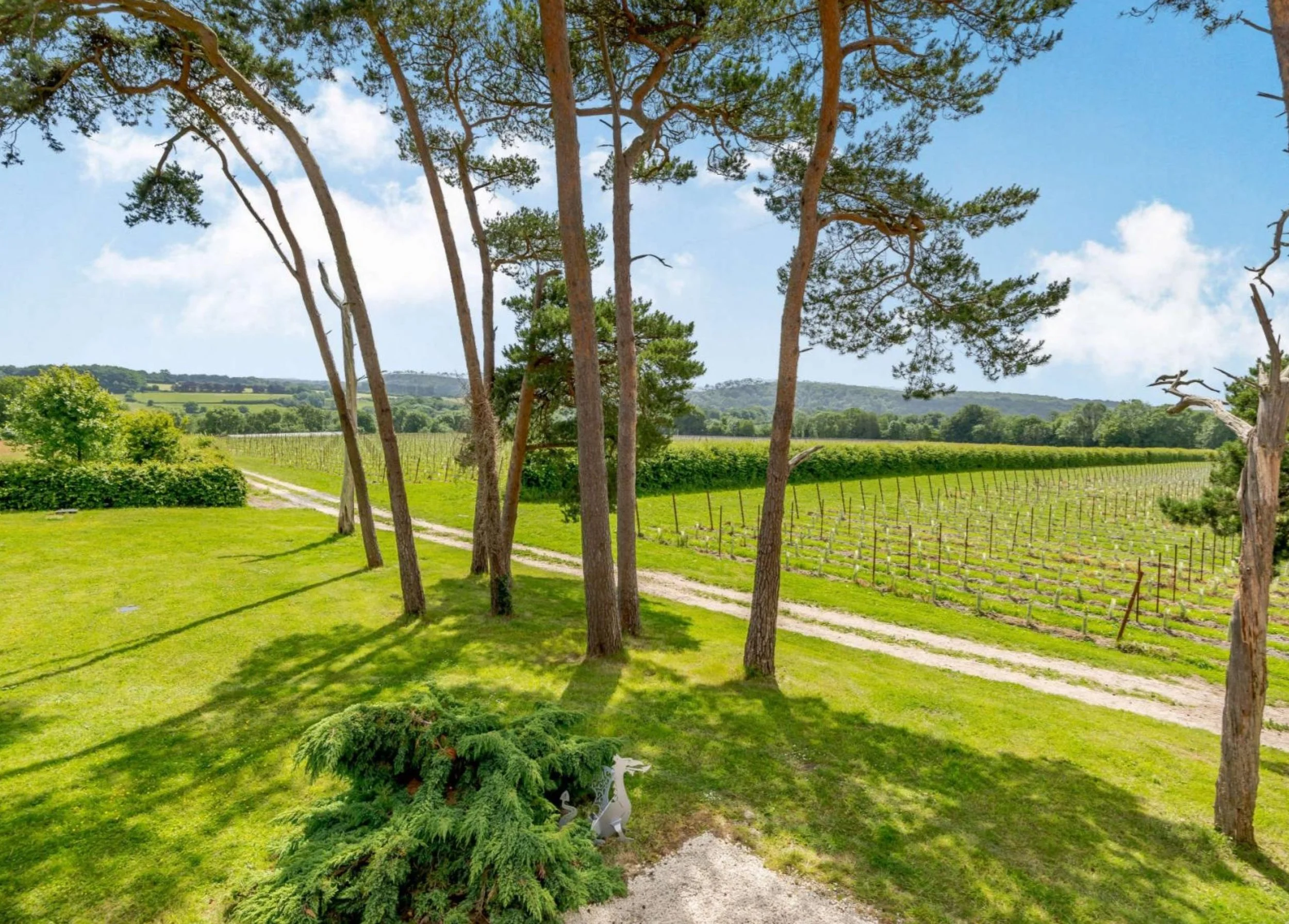 vineyard view stay UK vineyard accommodation England hampshire